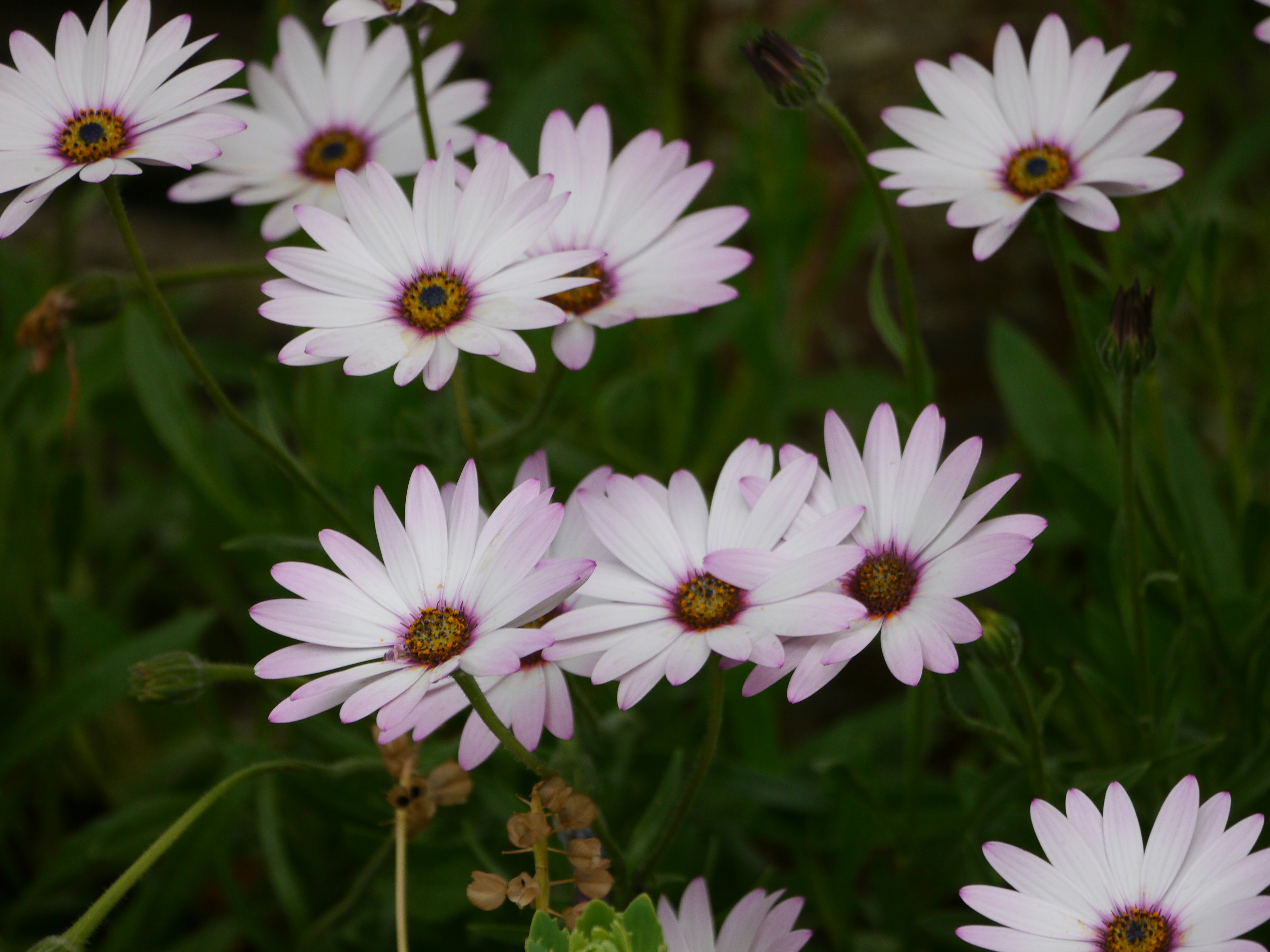 Photo by iqsphotography