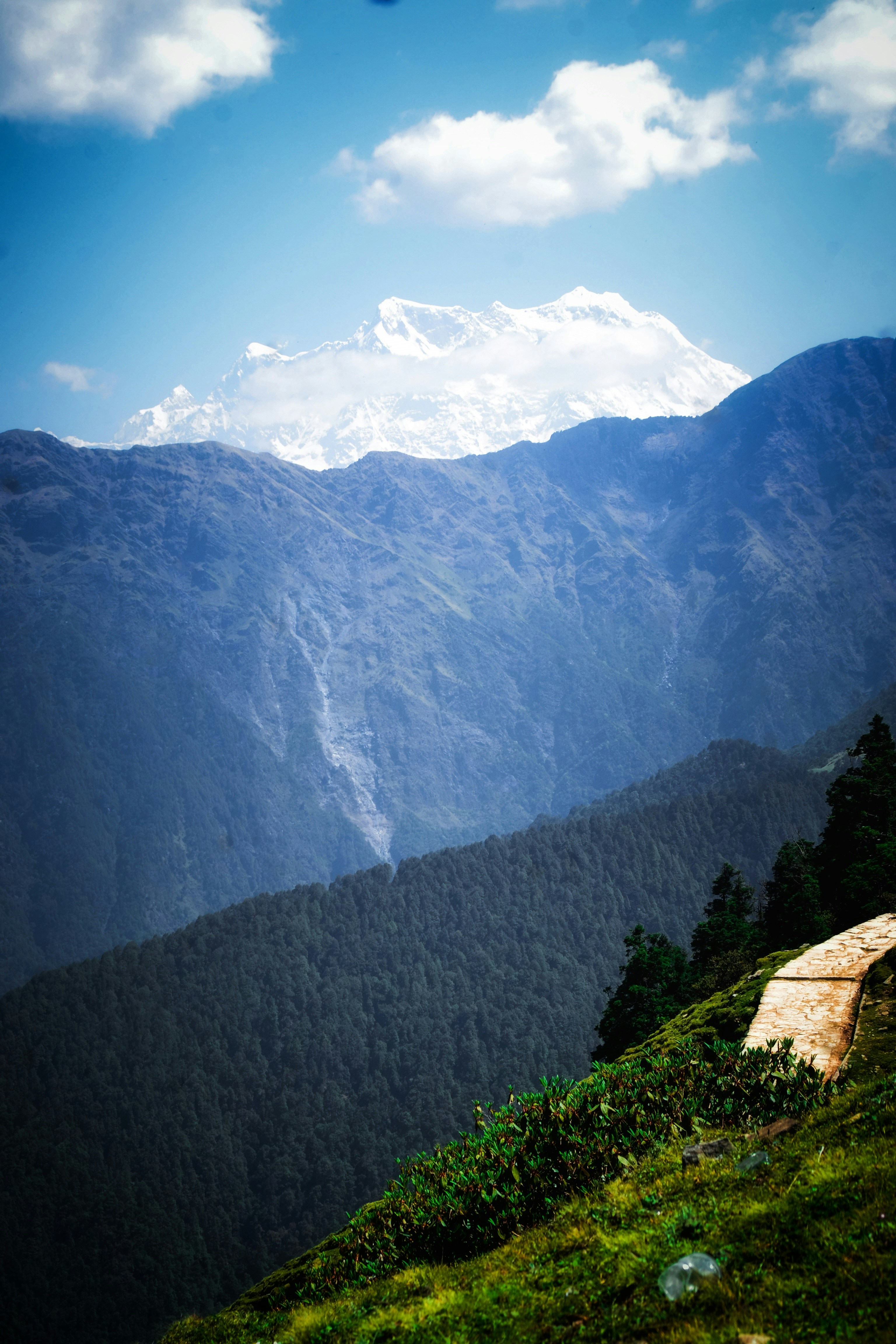 A man sitting on top of a lush green hillside