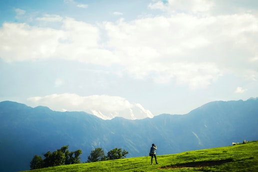 A man standing on top of a lush green hillside