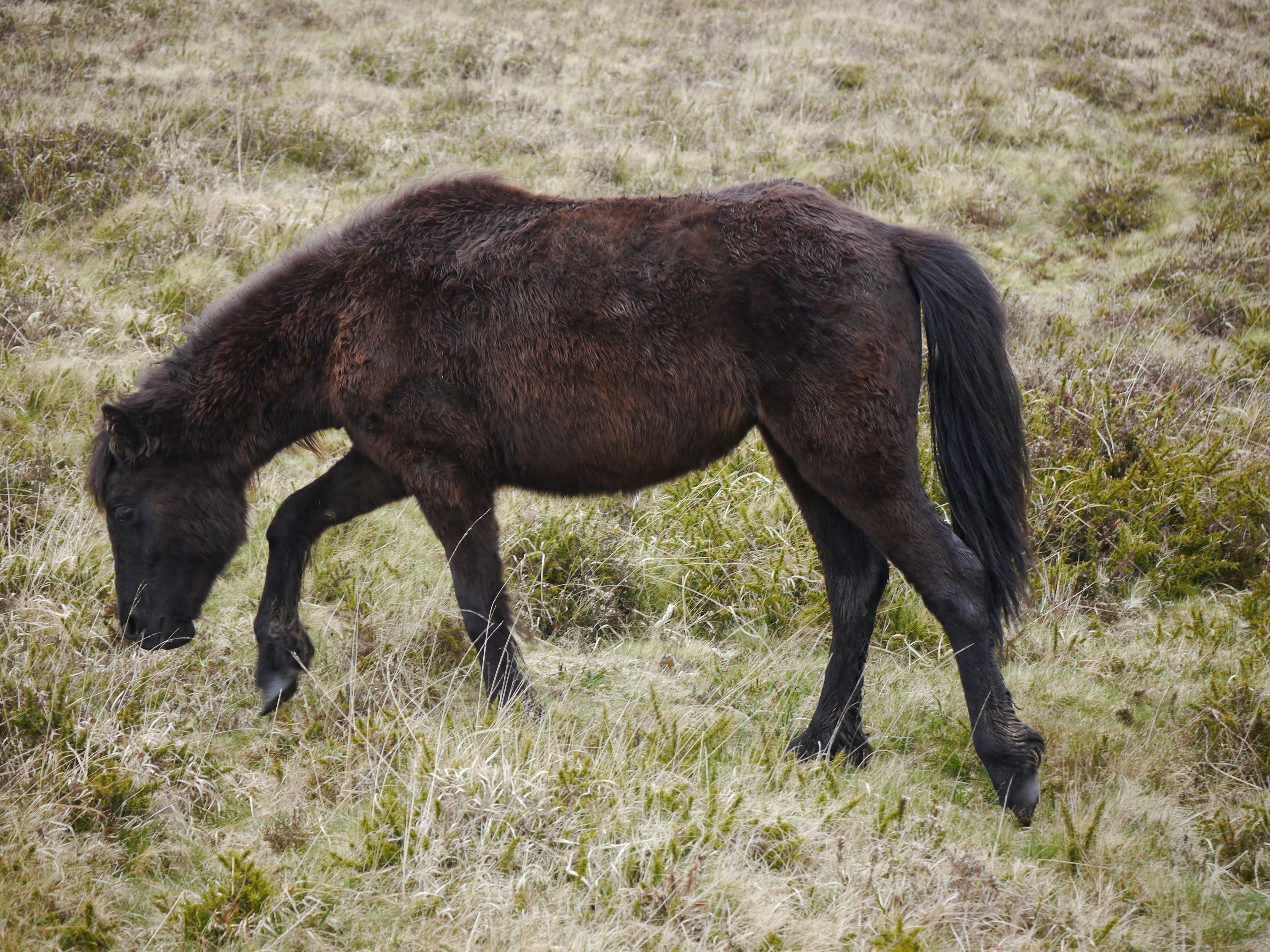 Photo by iqsphotography