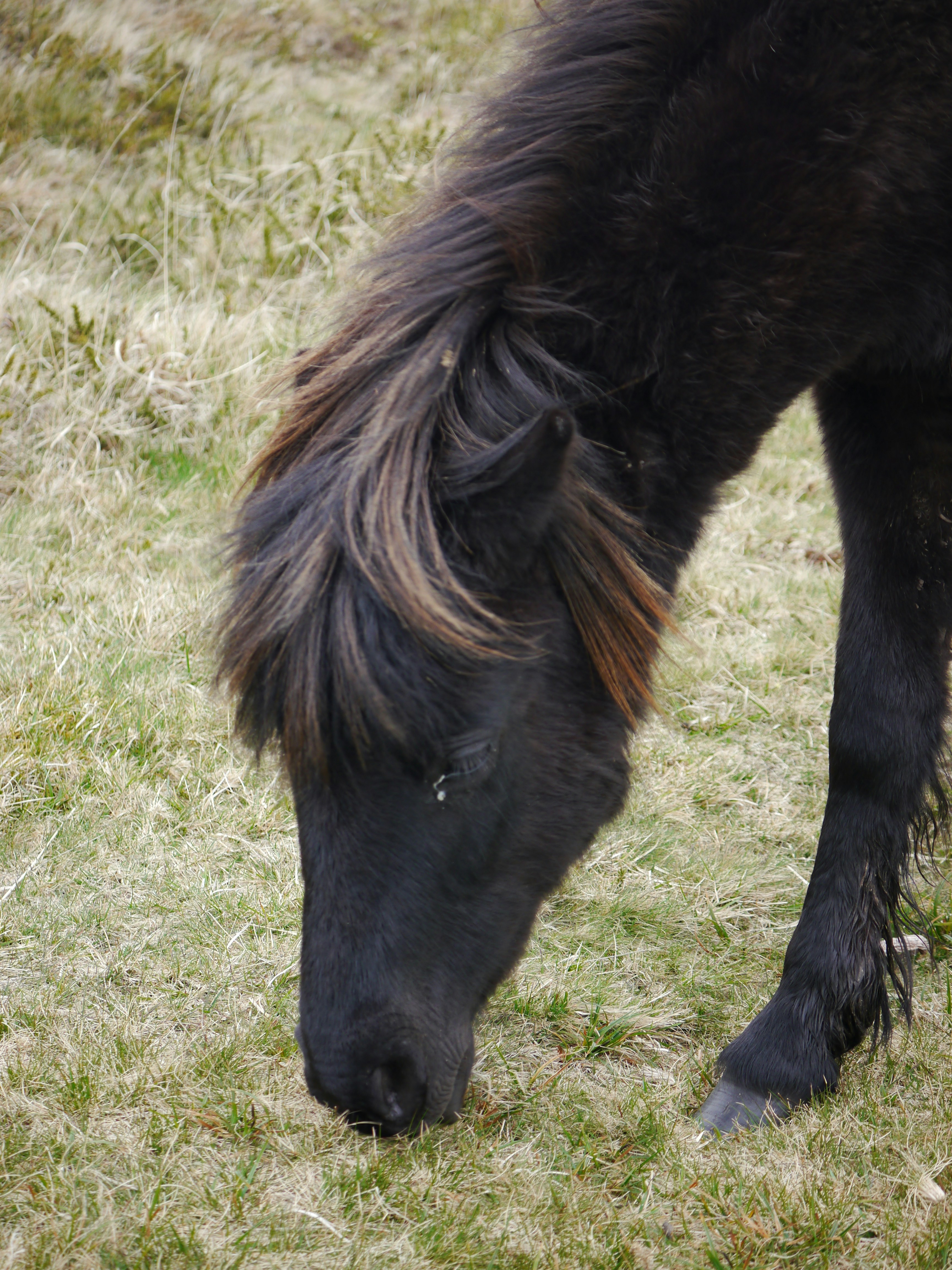 Photo by iqsphotography