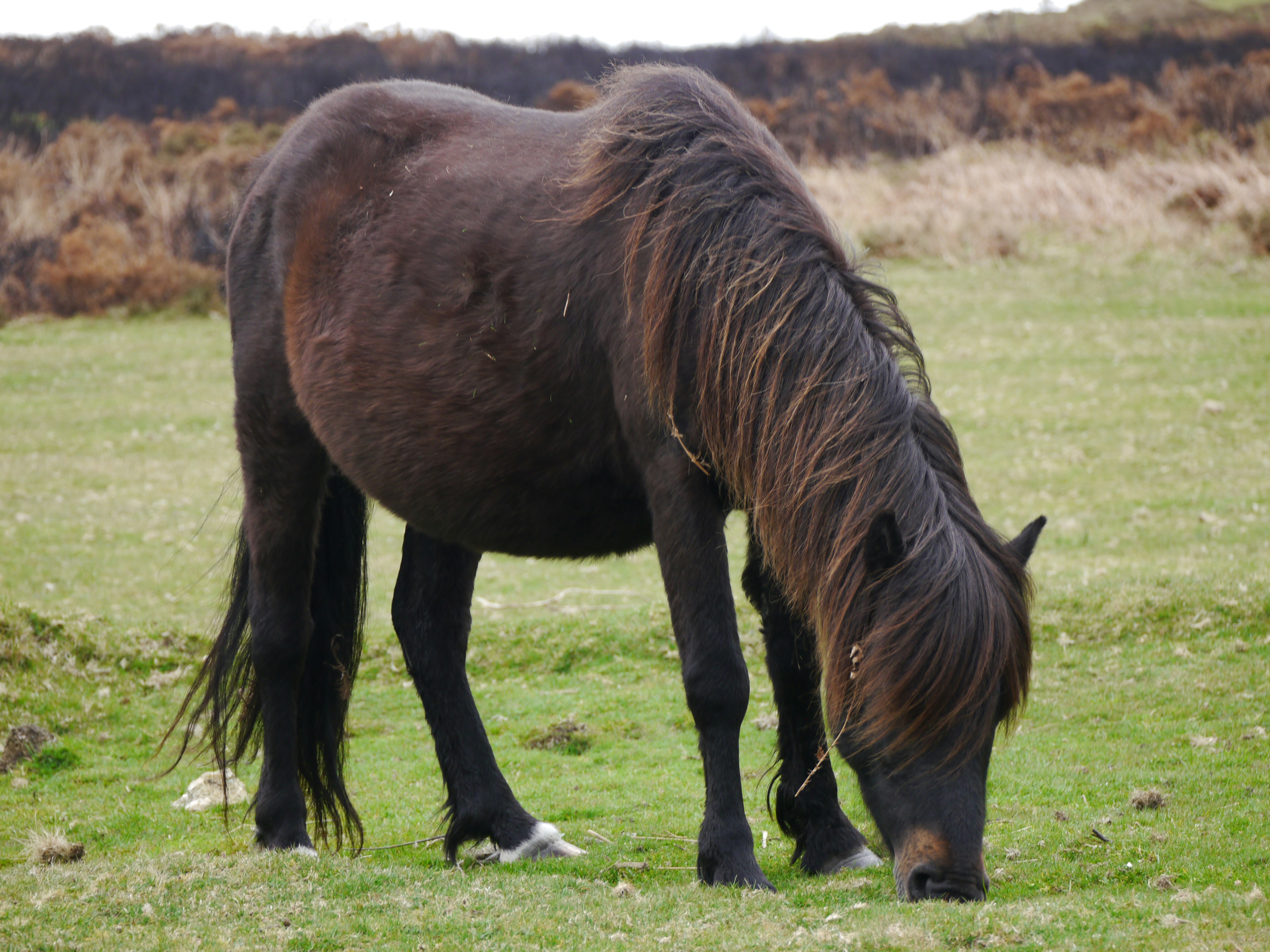 Photo by iqsphotography