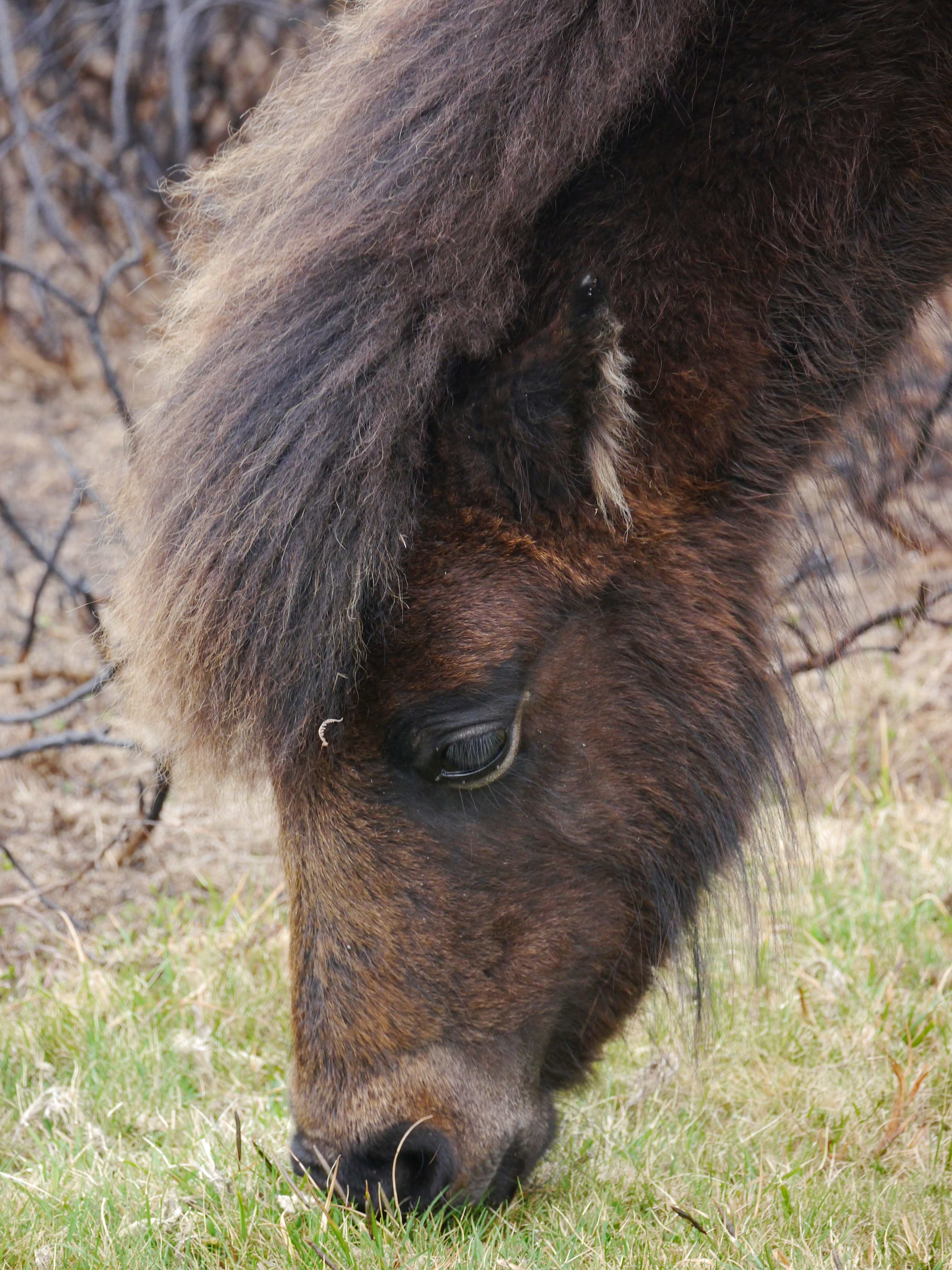 Photo by iqsphotography