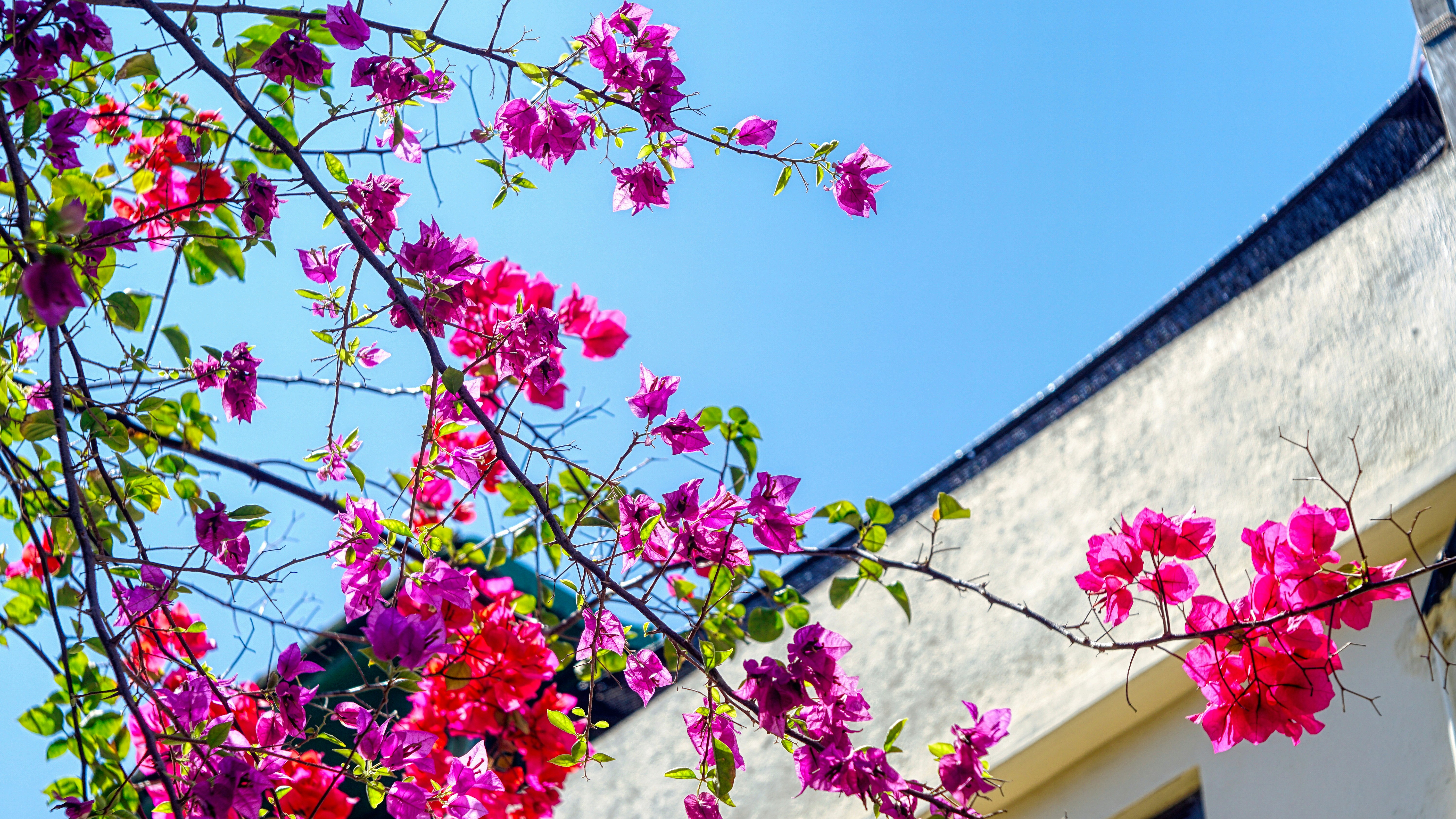 Photo by thomaskinto