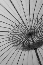 A black and white photo of an umbrella