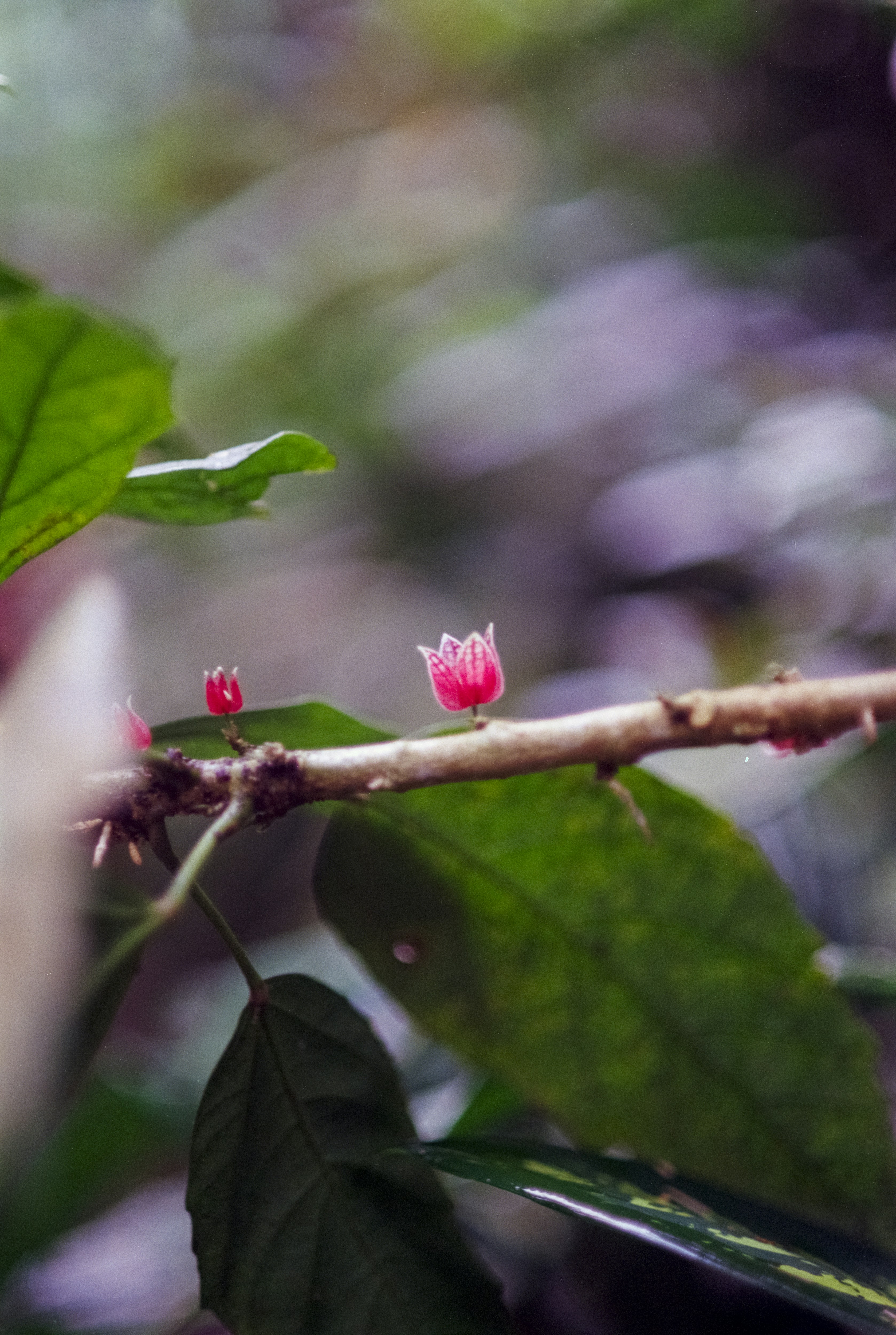 Photo by artistseyes