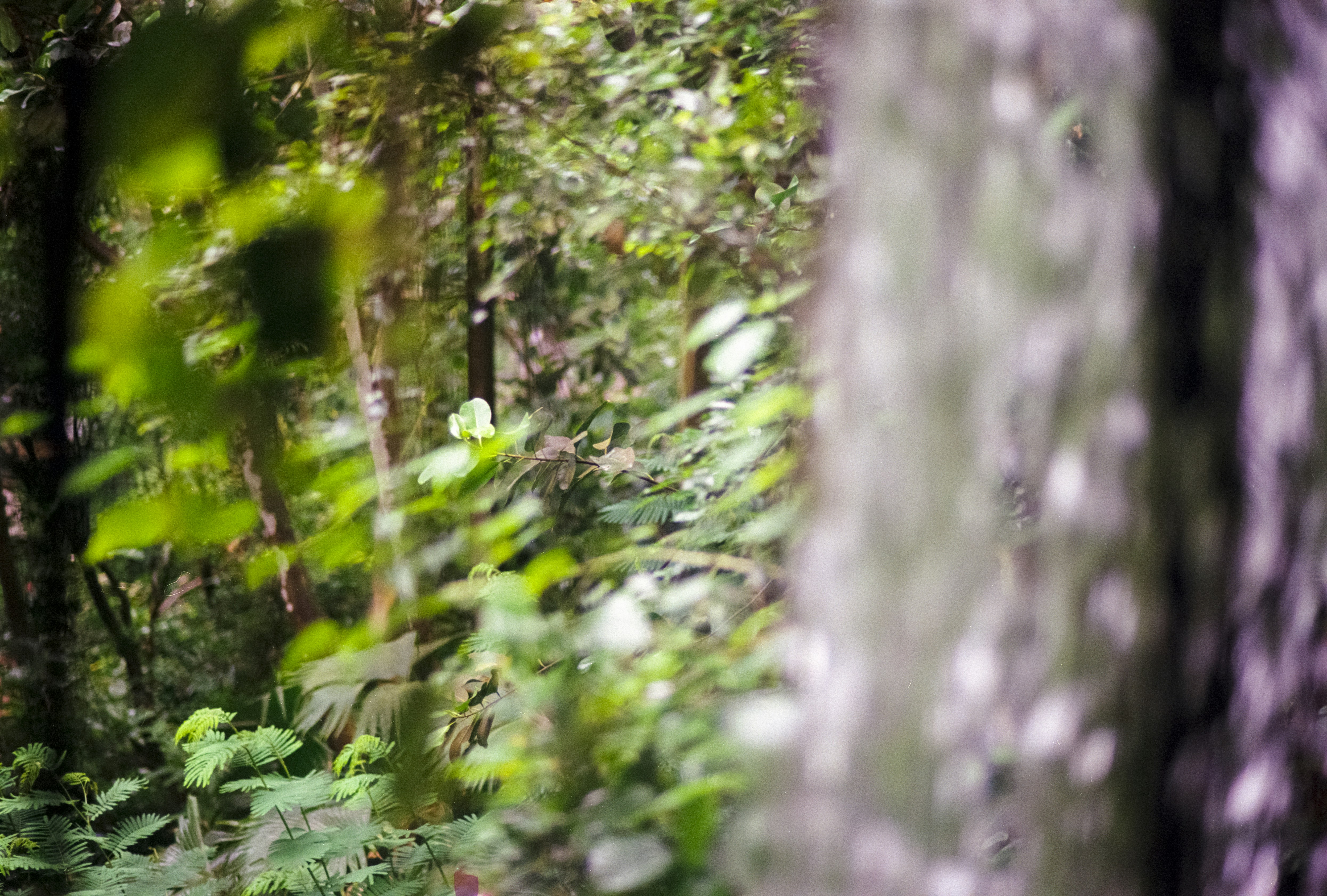 Photo by artistseyes