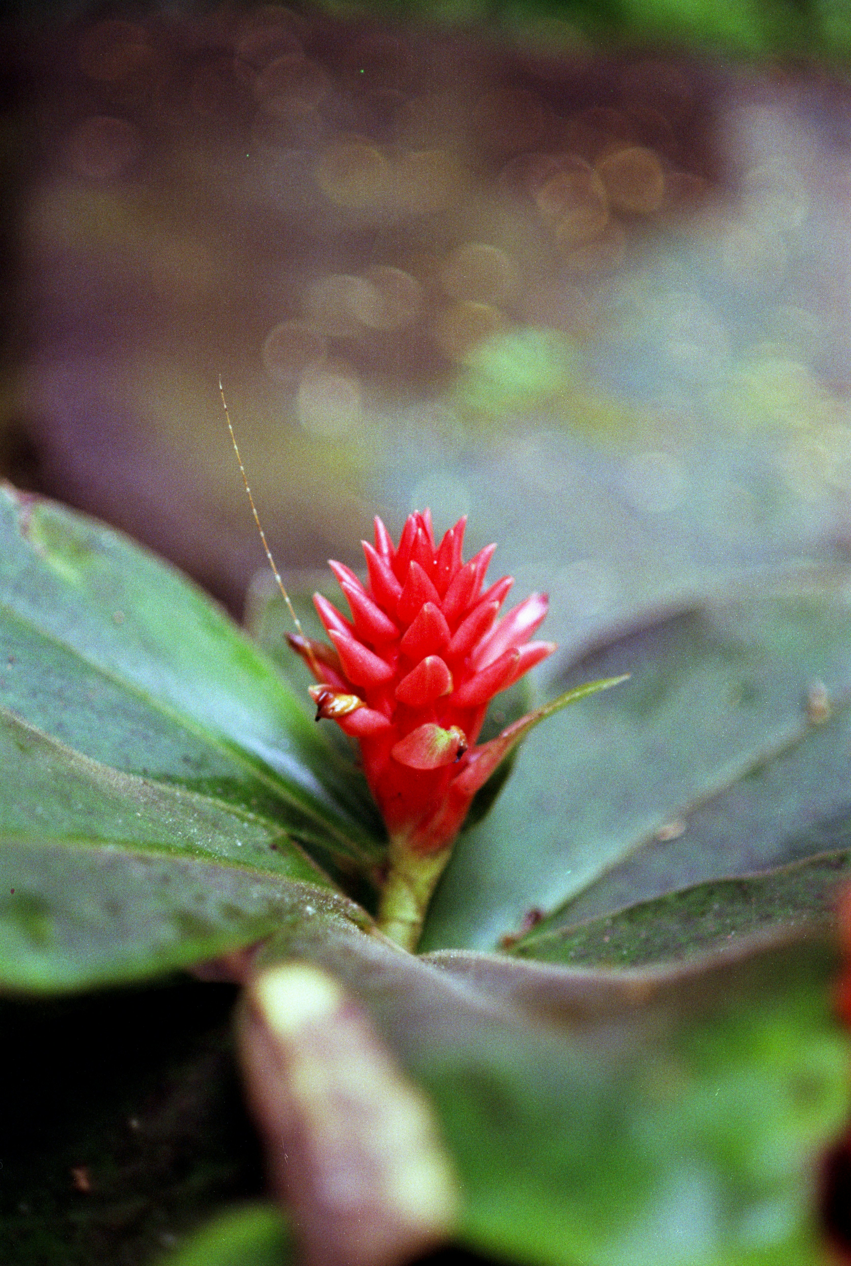 Photo by artistseyes