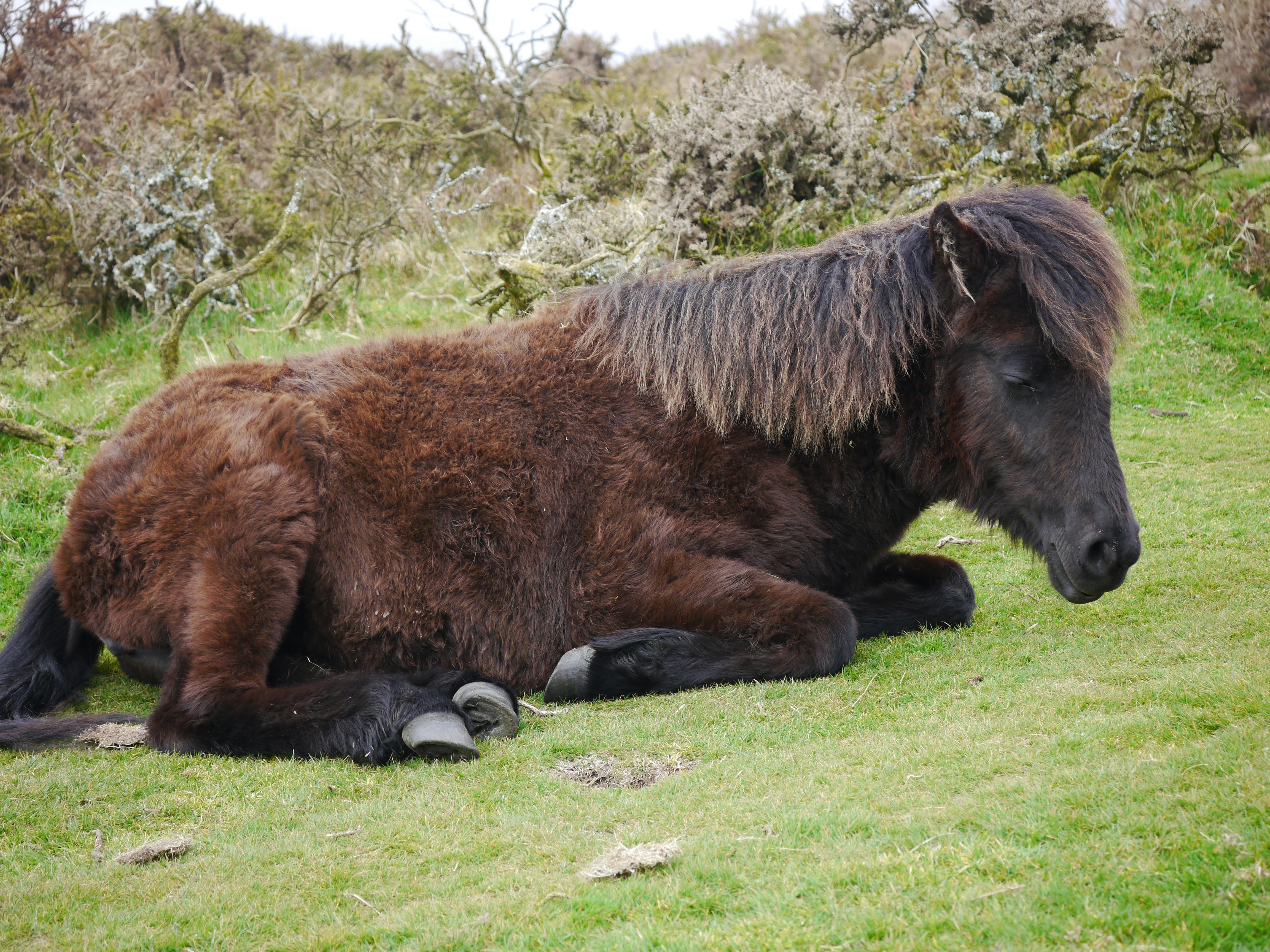 Photo by iqsphotography