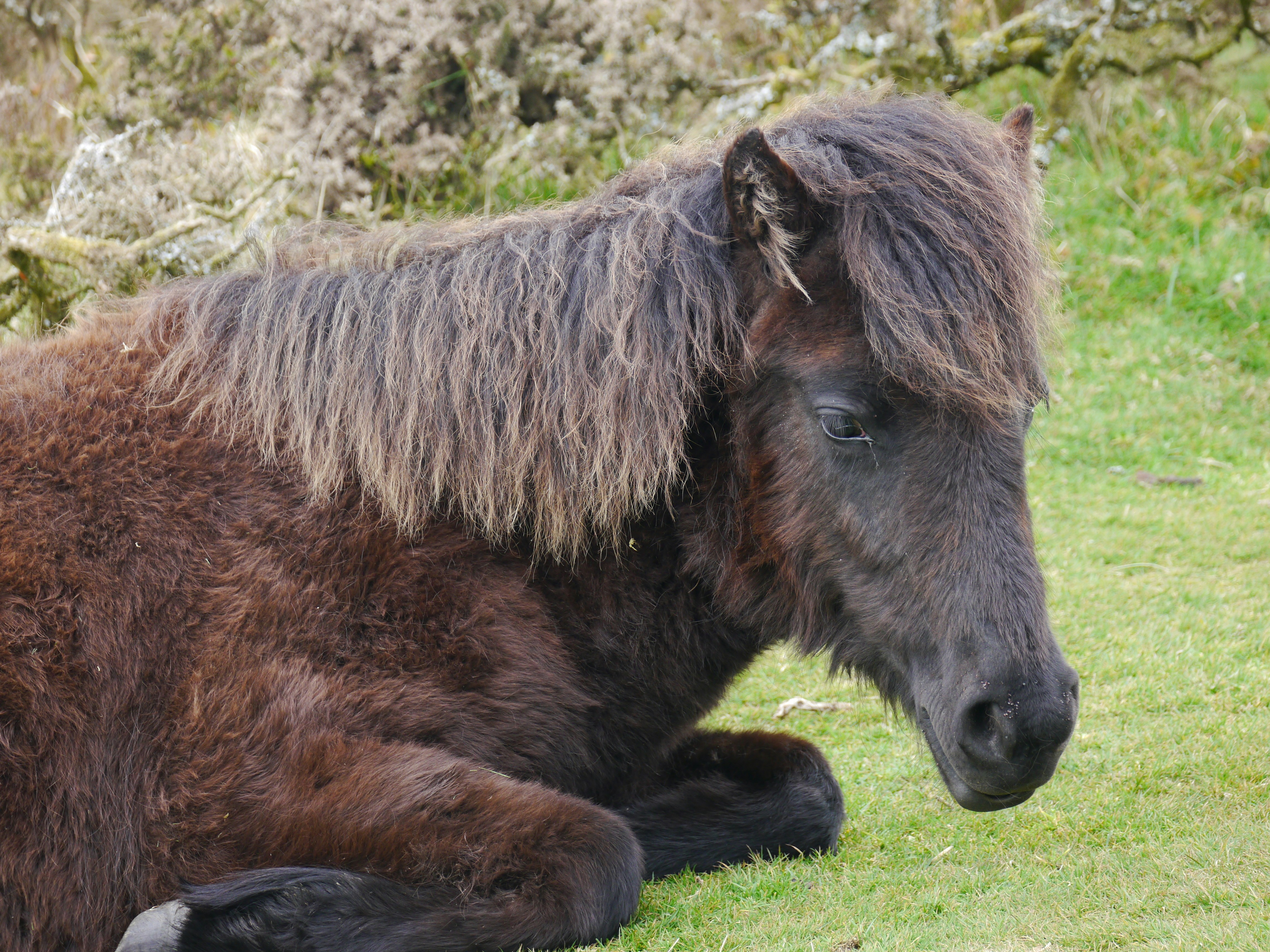 Photo by iqsphotography