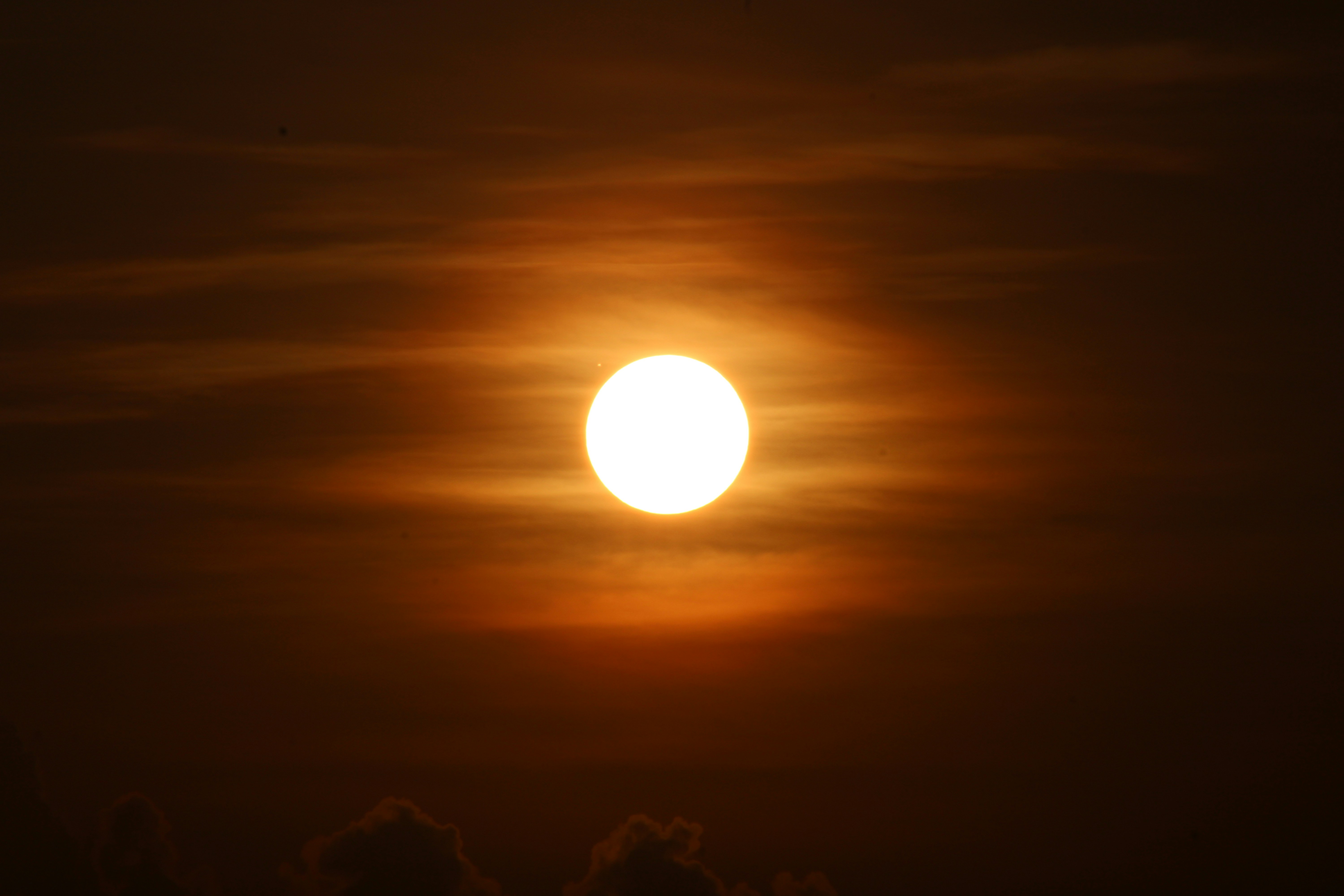 Photo by photoloveramico