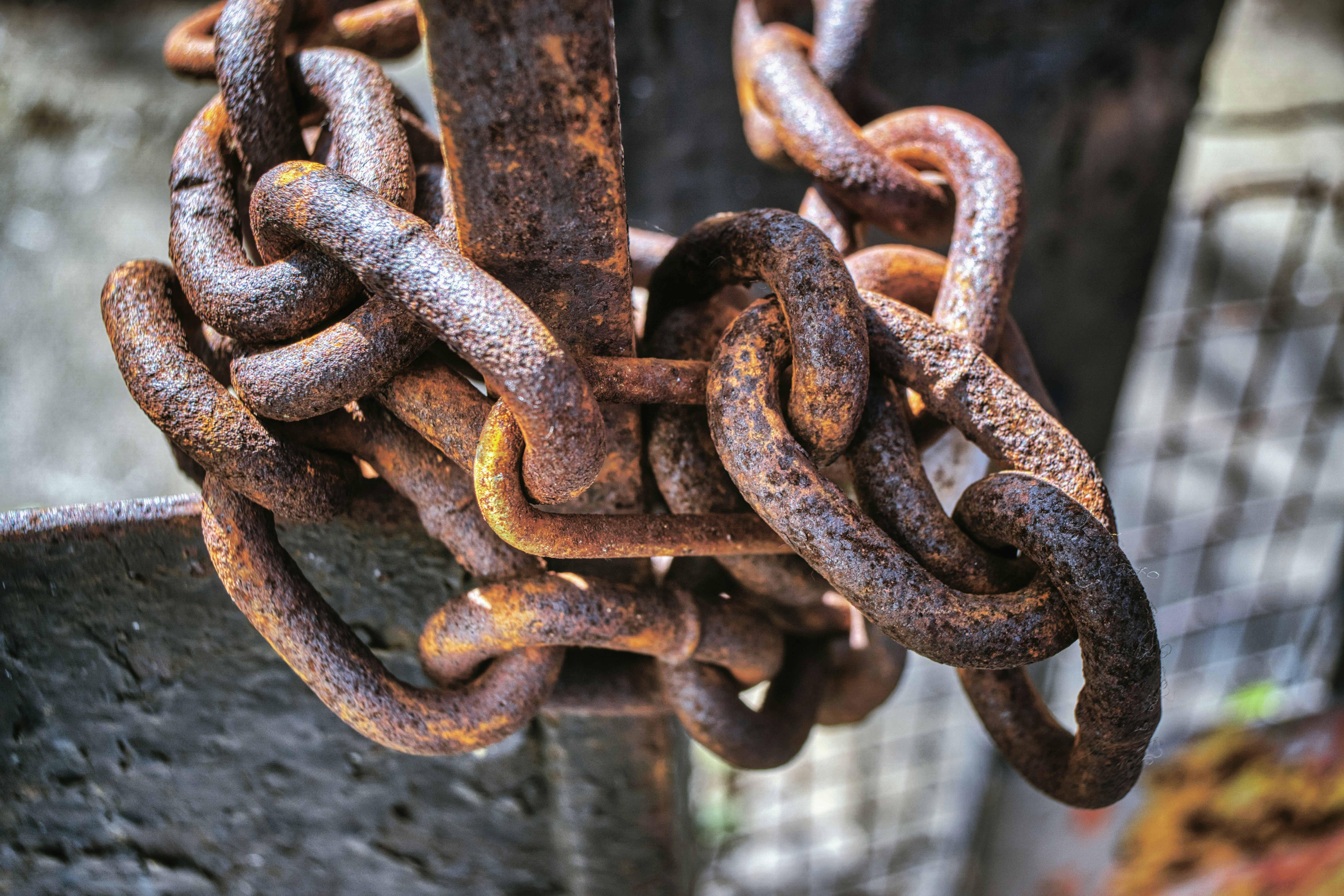 Photo by thomaskinto