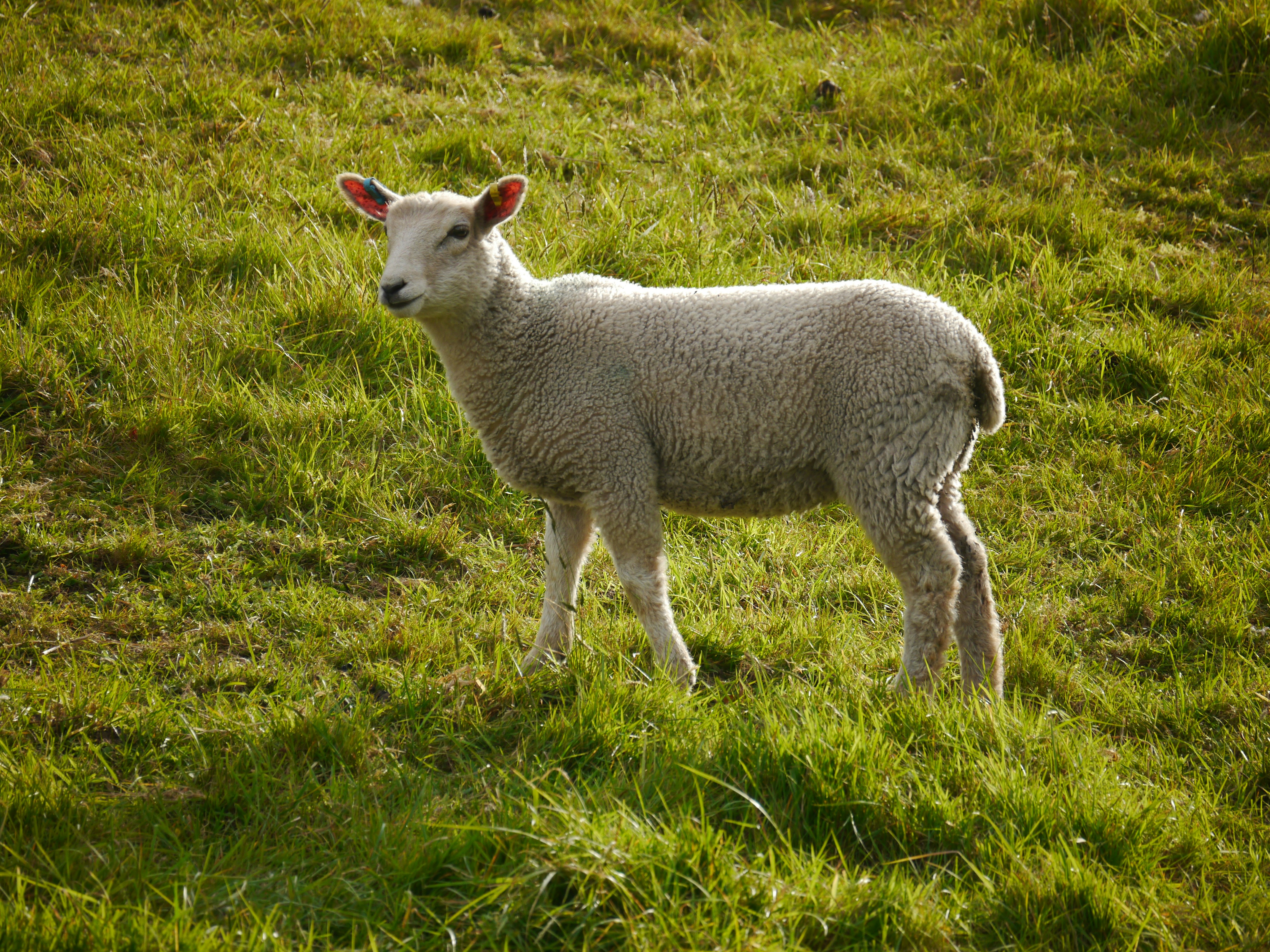 Photo by iqsphotography