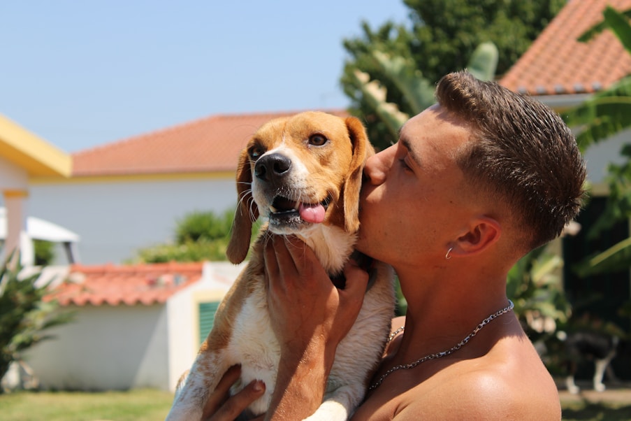 Health Vibes - How do pets improve your life, especially dogs  