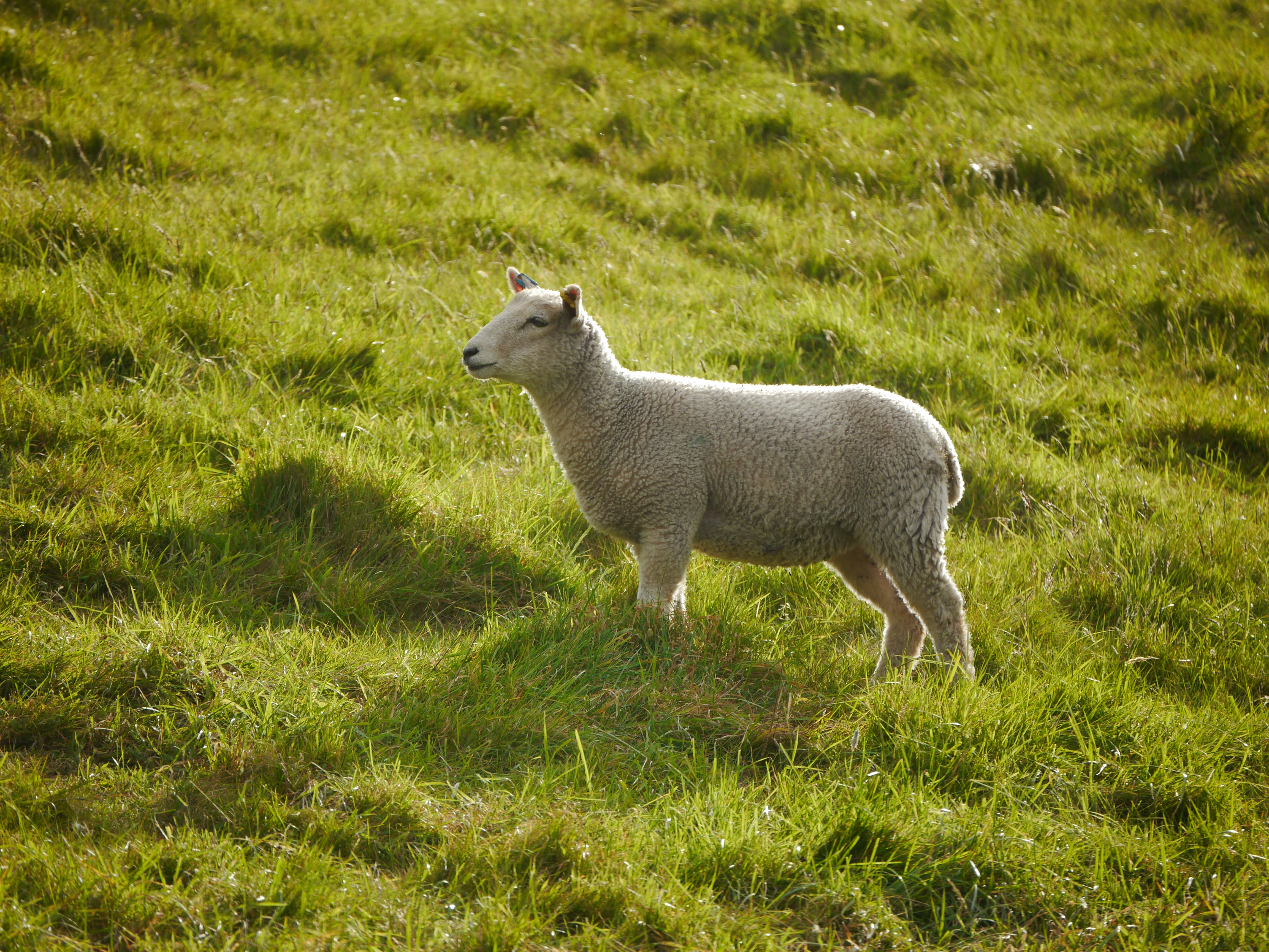 Photo by iqsphotography