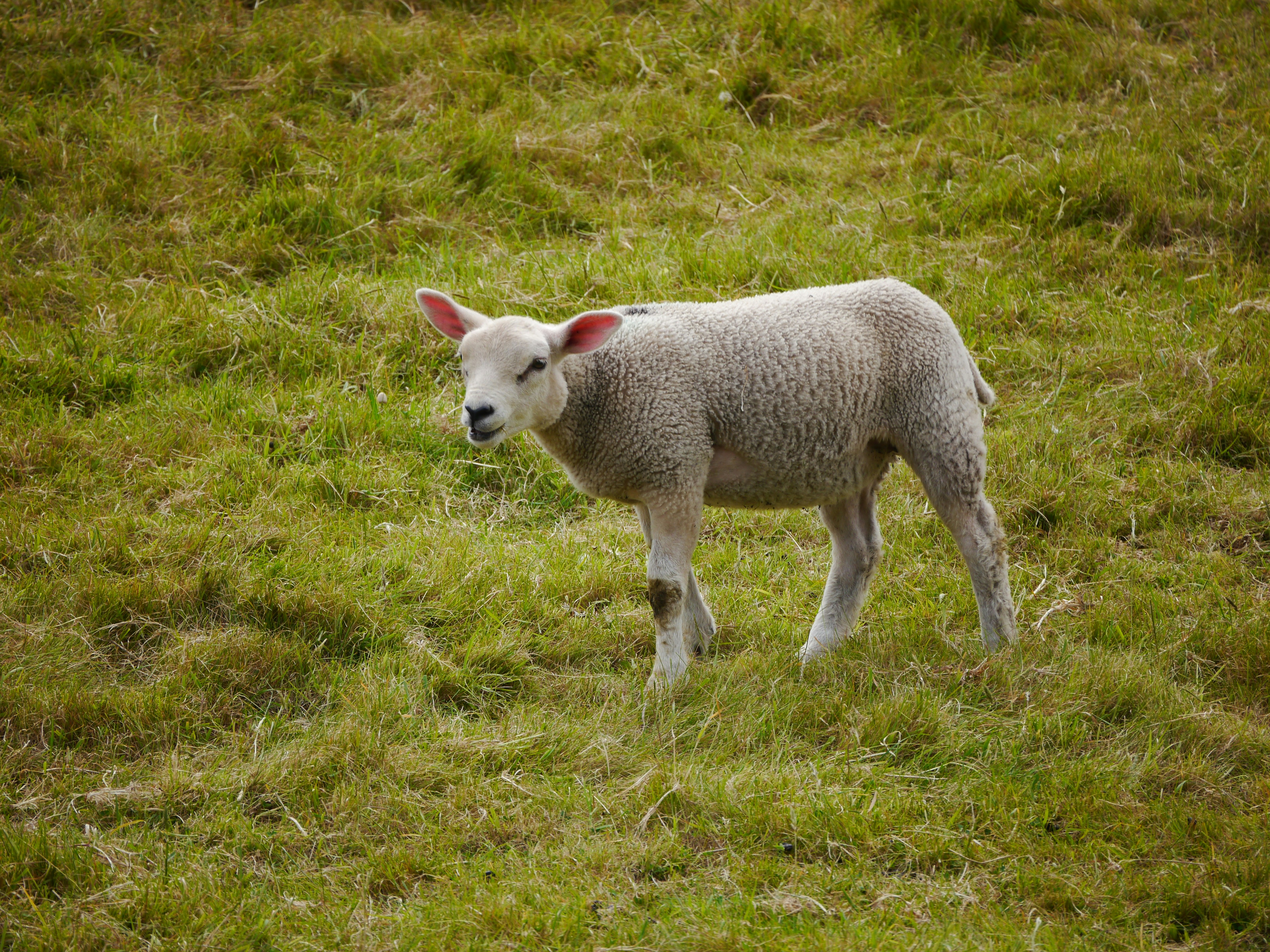 Photo by iqsphotography