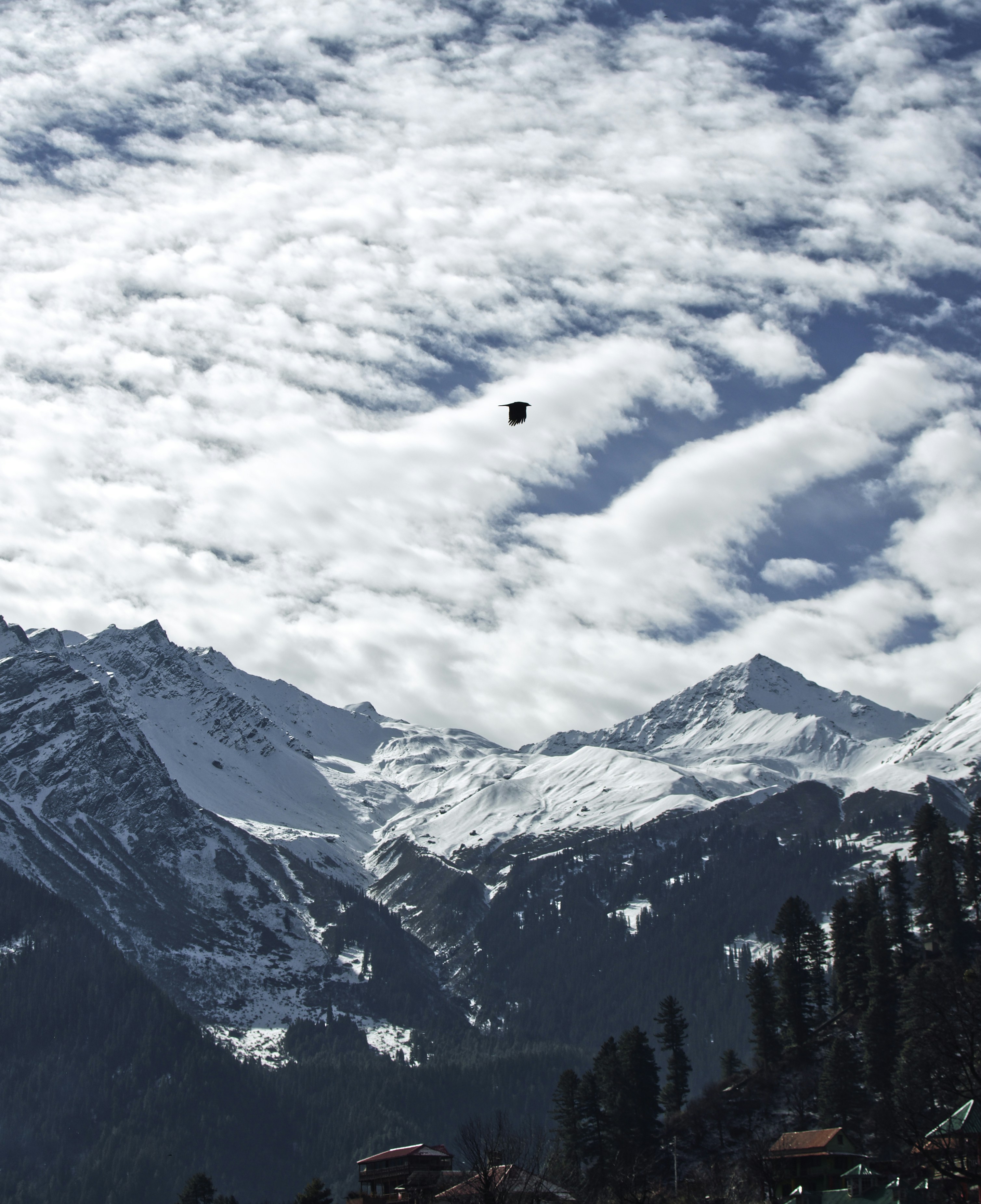 A view of a mountain range with a bird flying in the sky