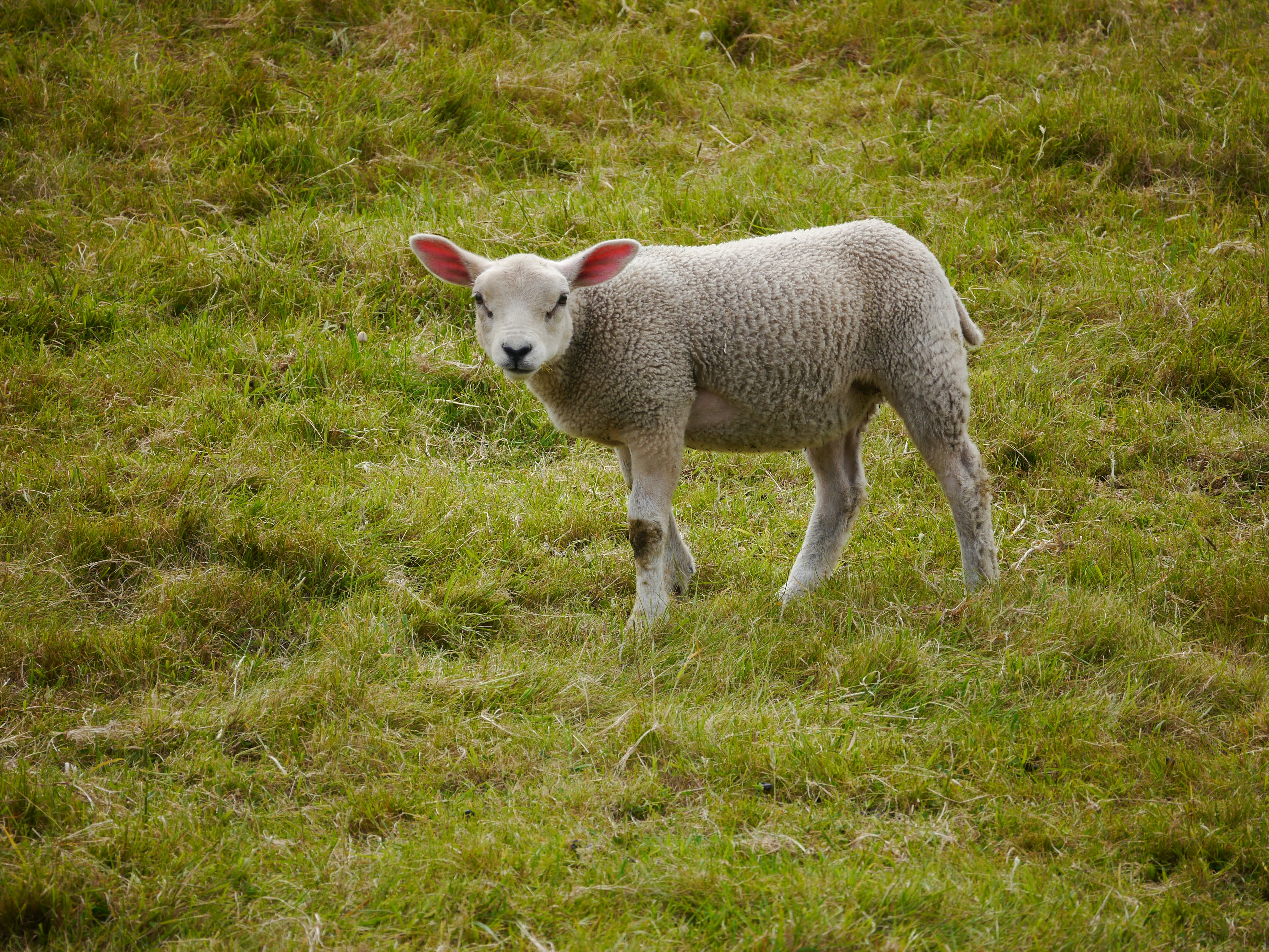 Photo by iqsphotography