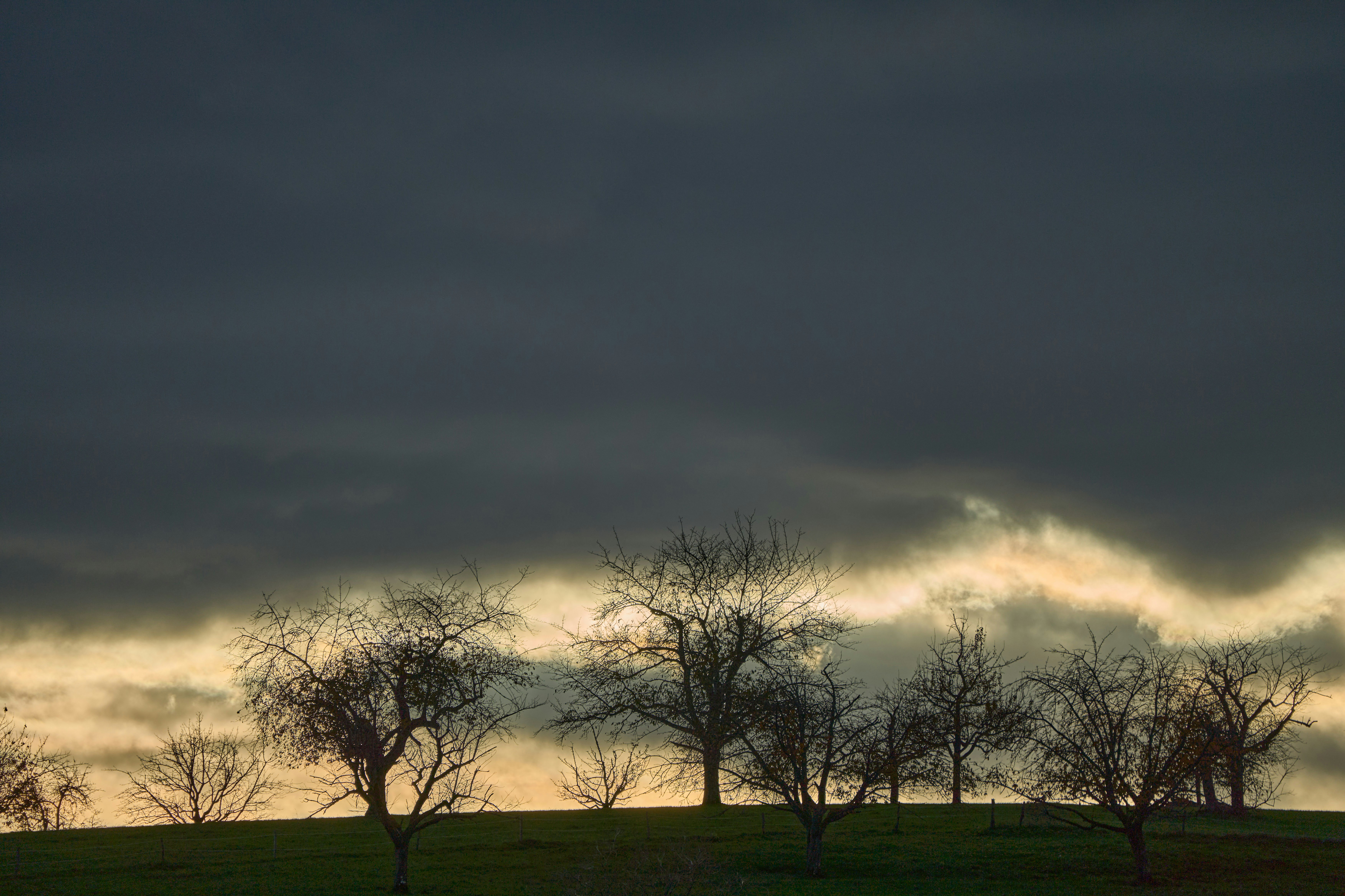 Photo by wolfgang_hasselmann