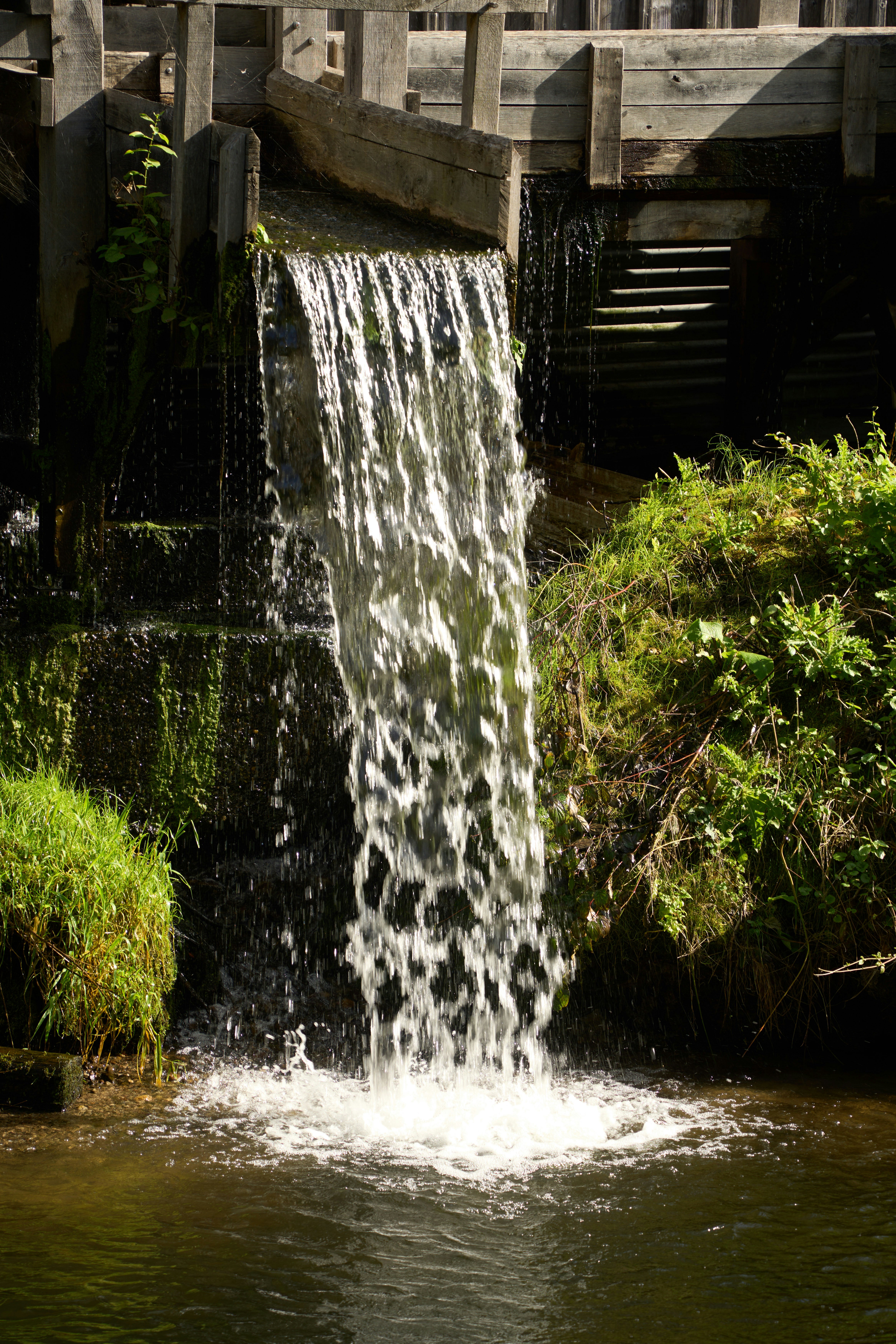 Photo by wolfgang_hasselmann