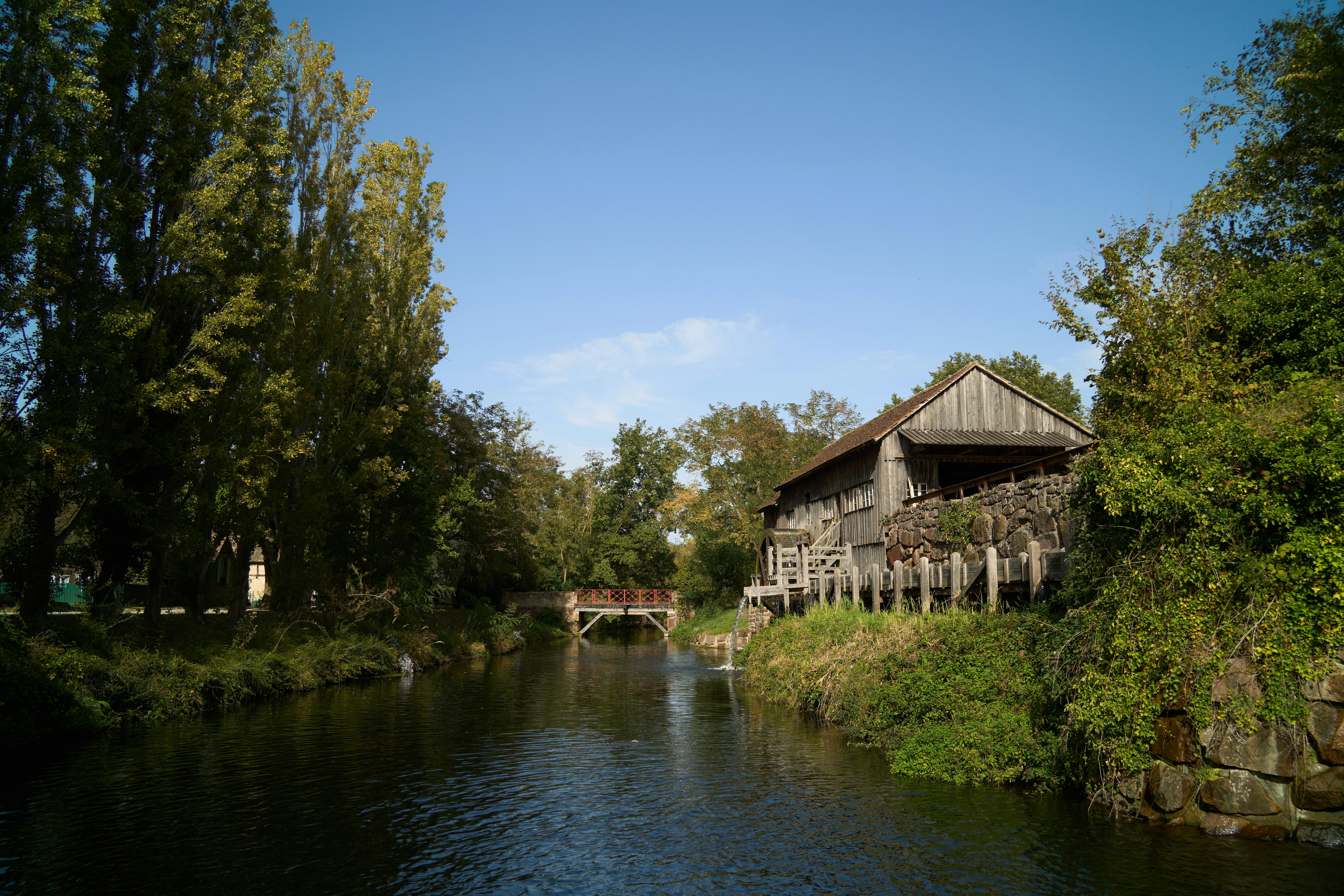 Photo by wolfgang_hasselmann