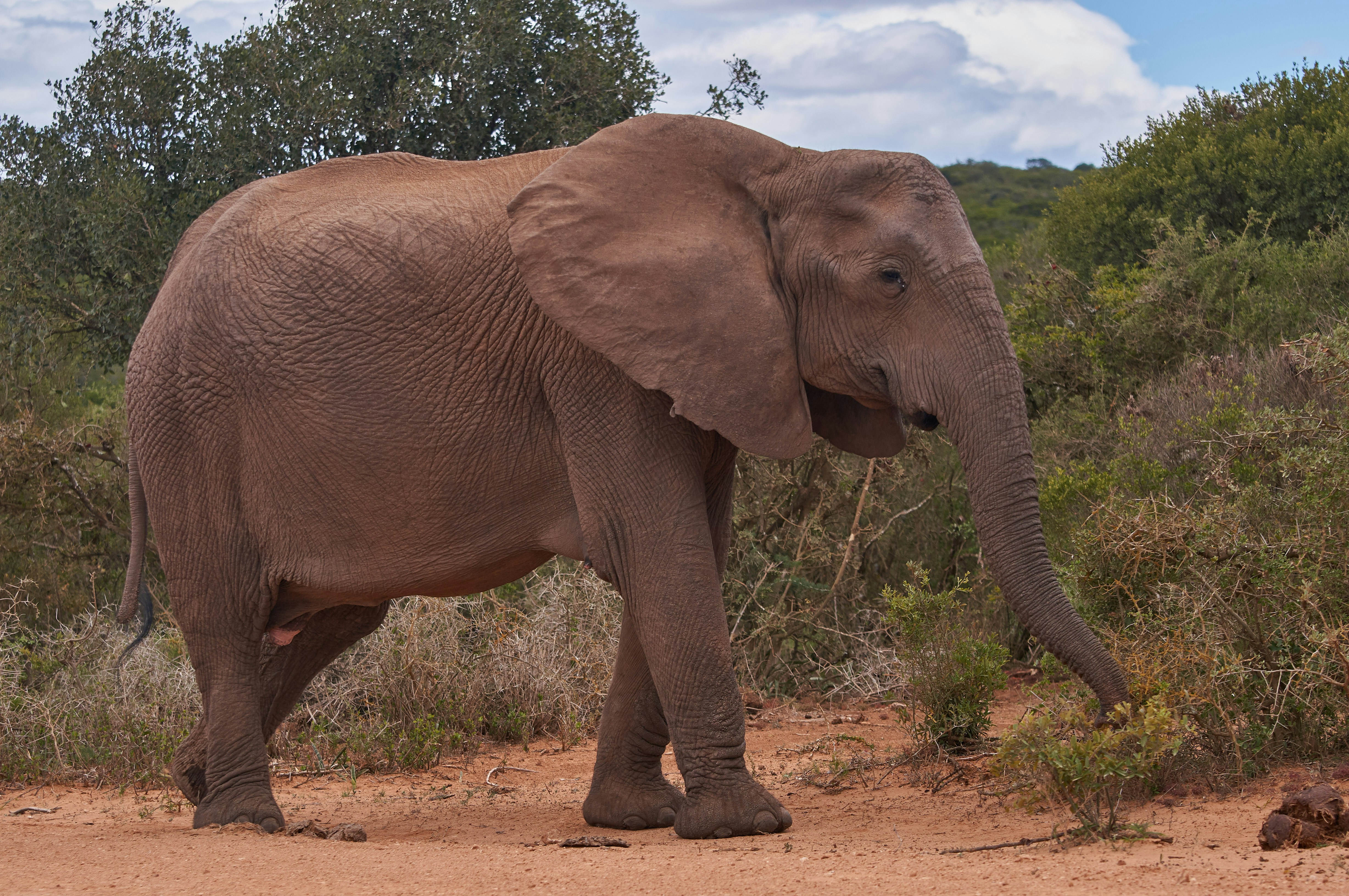 Photo by wolfgang_hasselmann