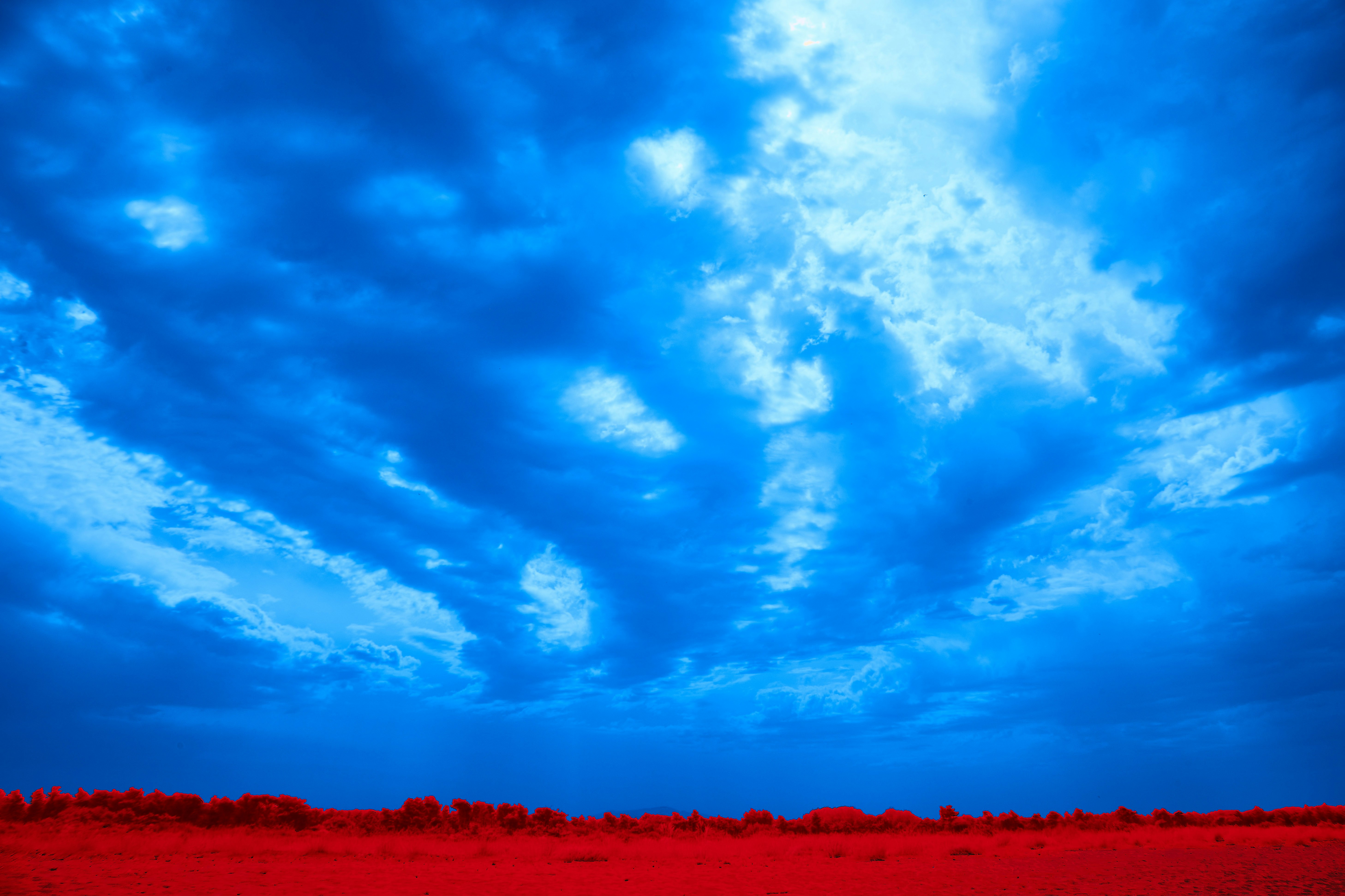 Photo by wolfgang_hasselmann