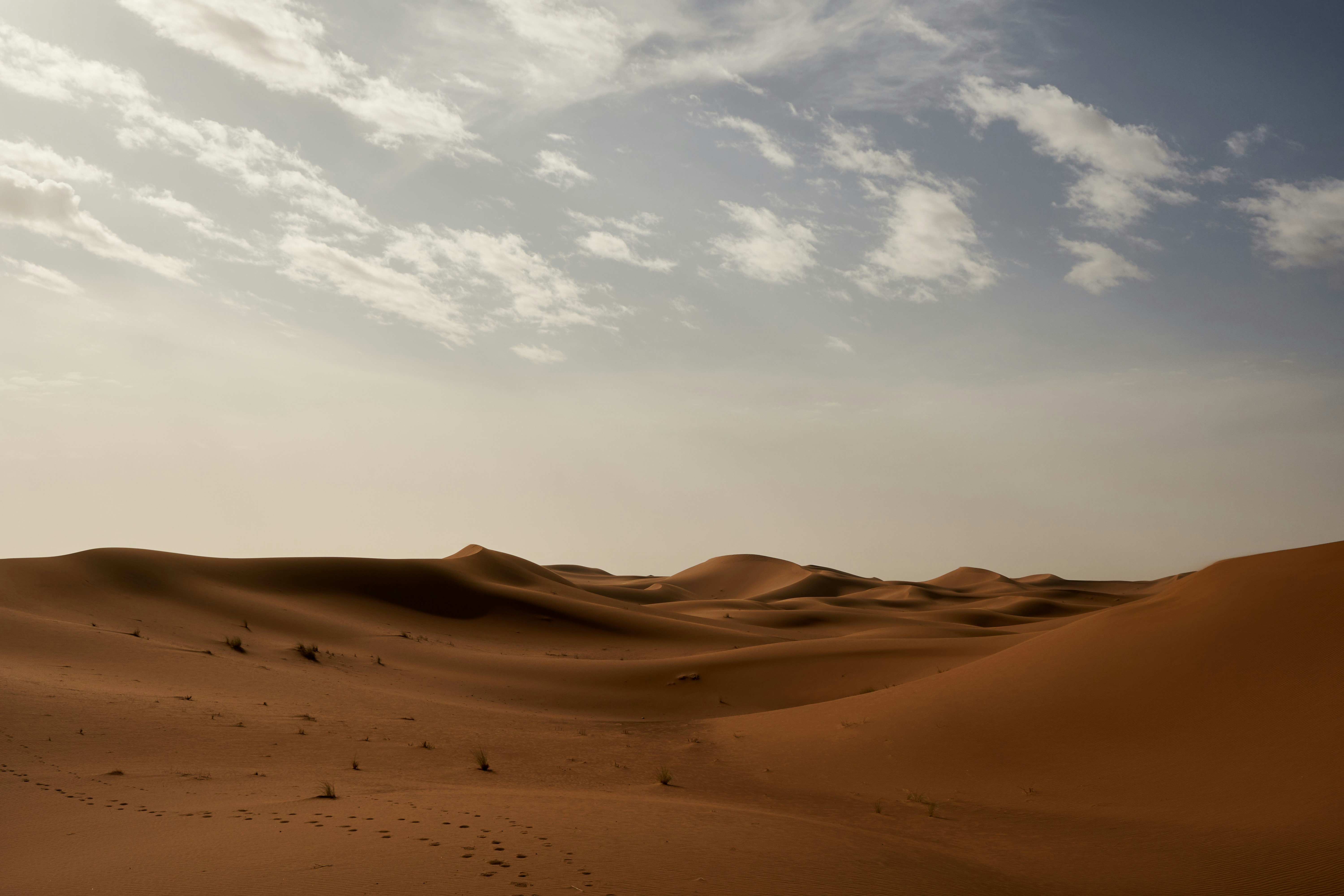 Photo by wolfgang_hasselmann