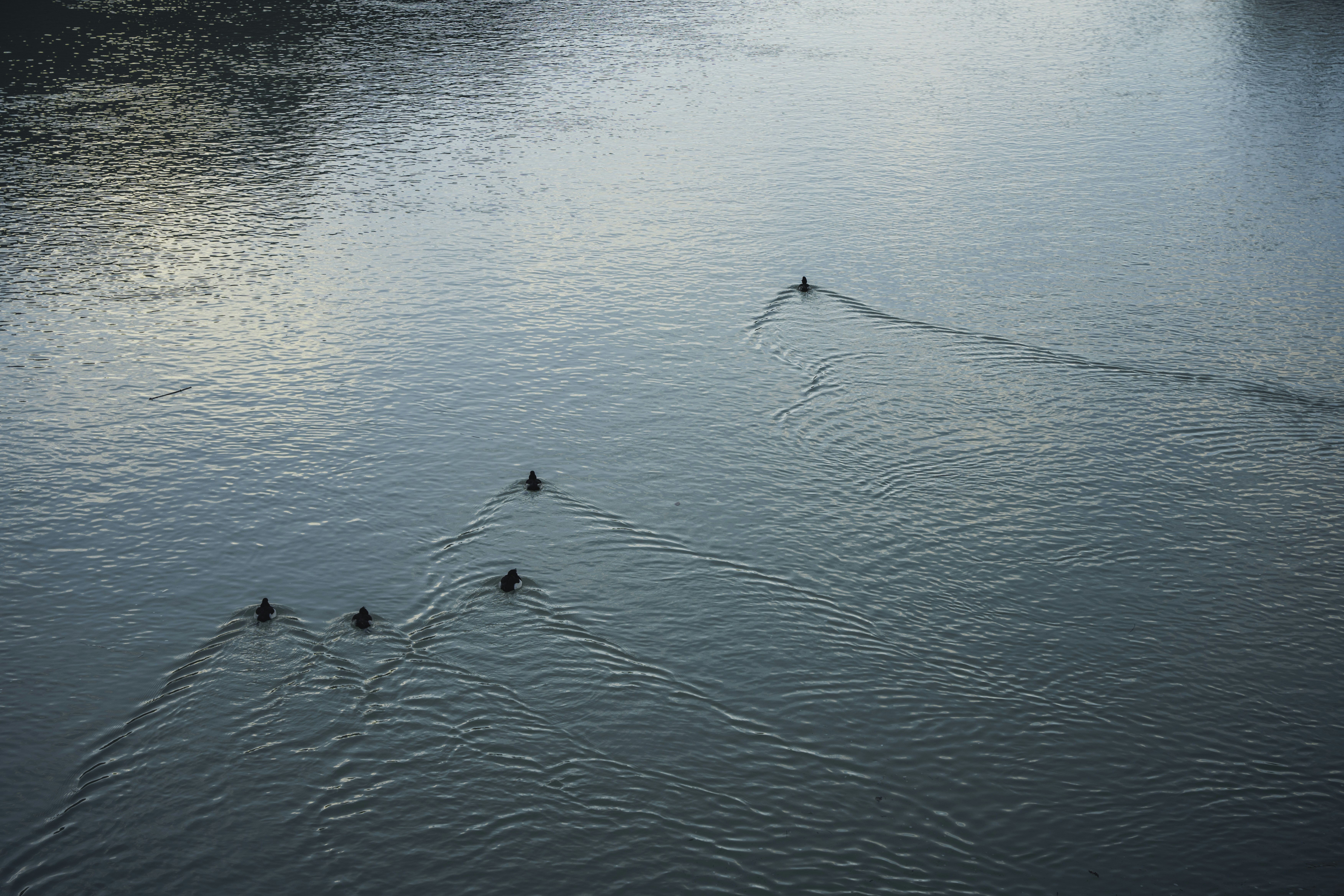 Photo by winstontjia