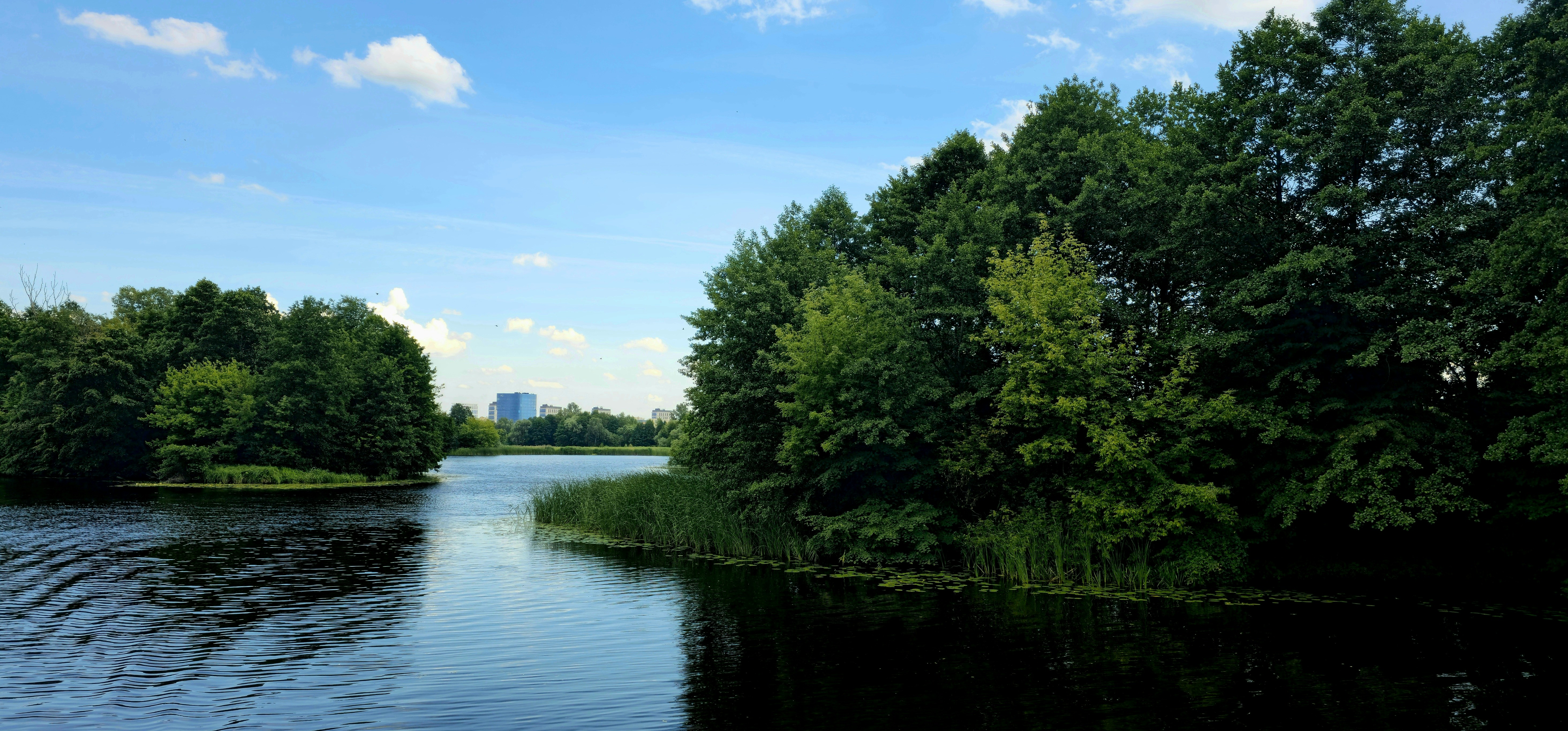 Photo by alx_edelstein