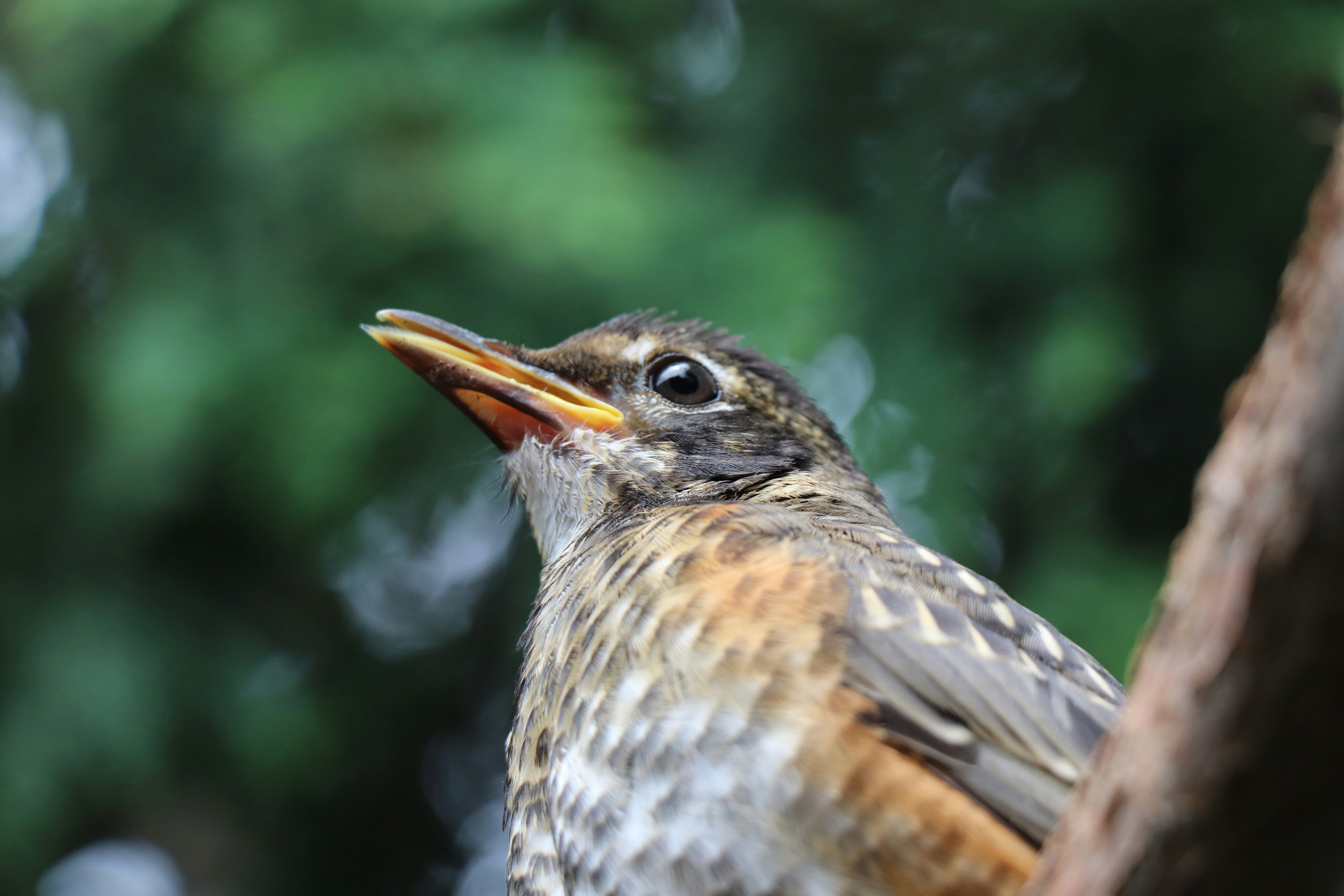 Photo by sandimagerart