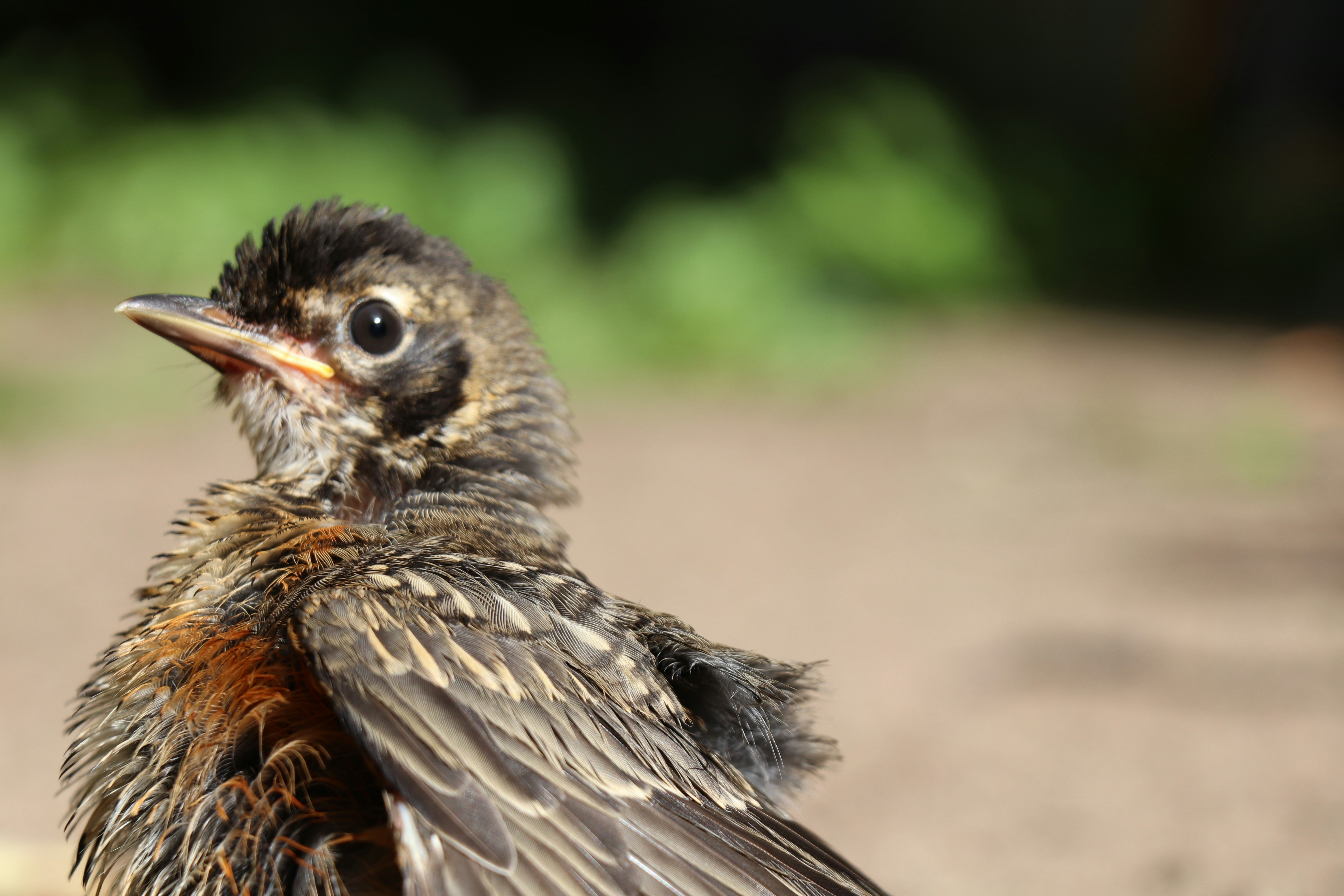 Photo by sandimagerart