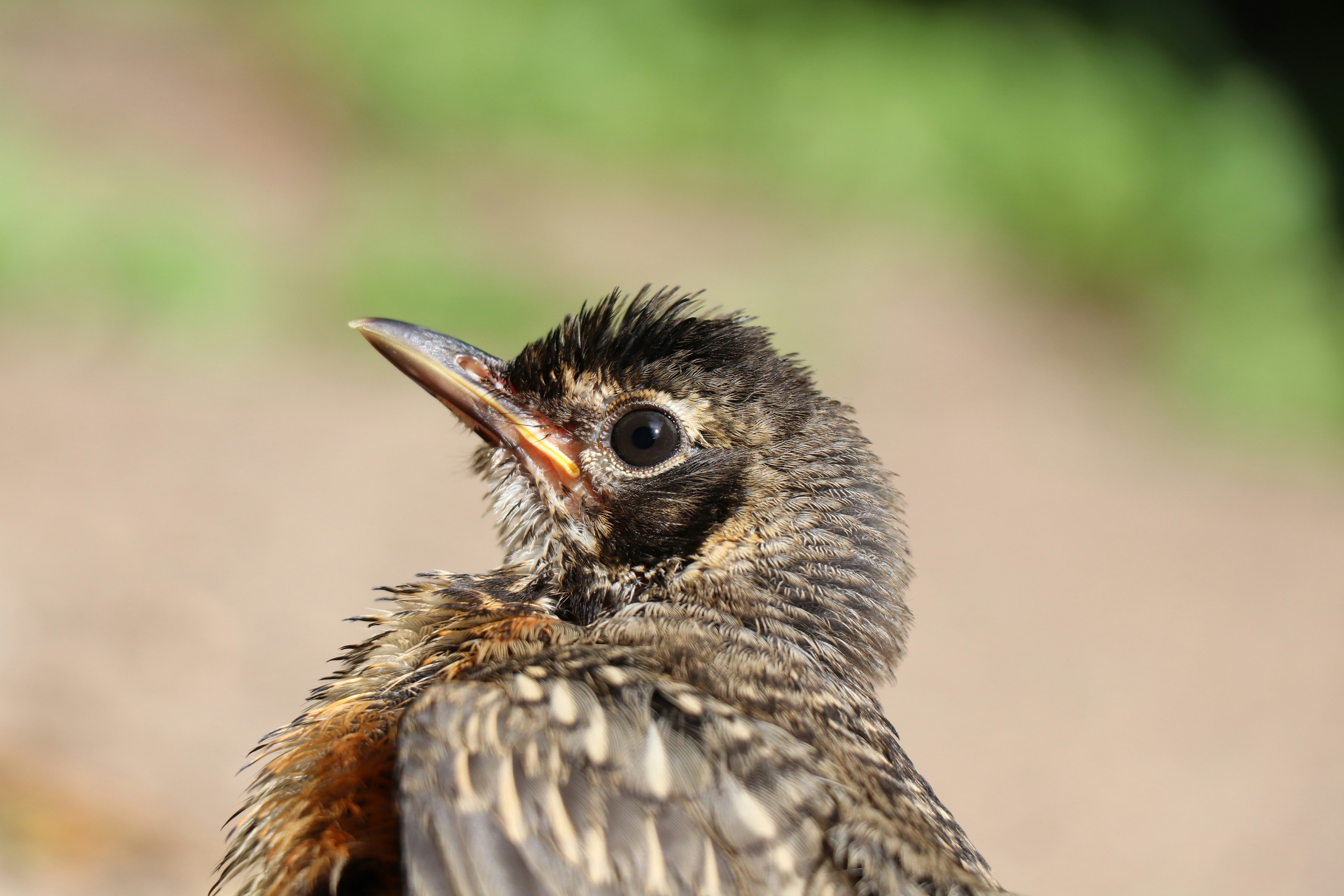 Photo by sandimagerart