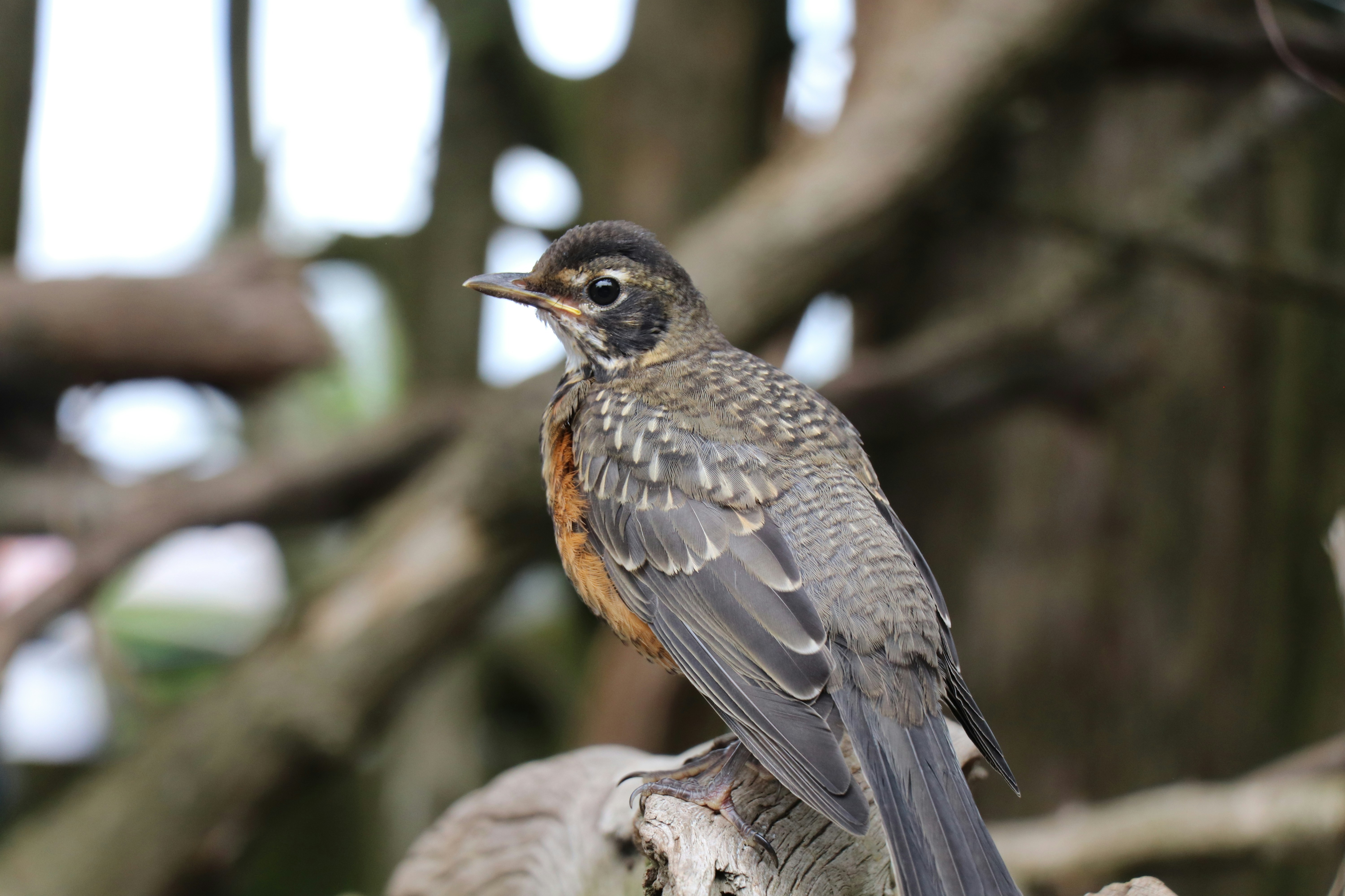 Photo by sandimagerart