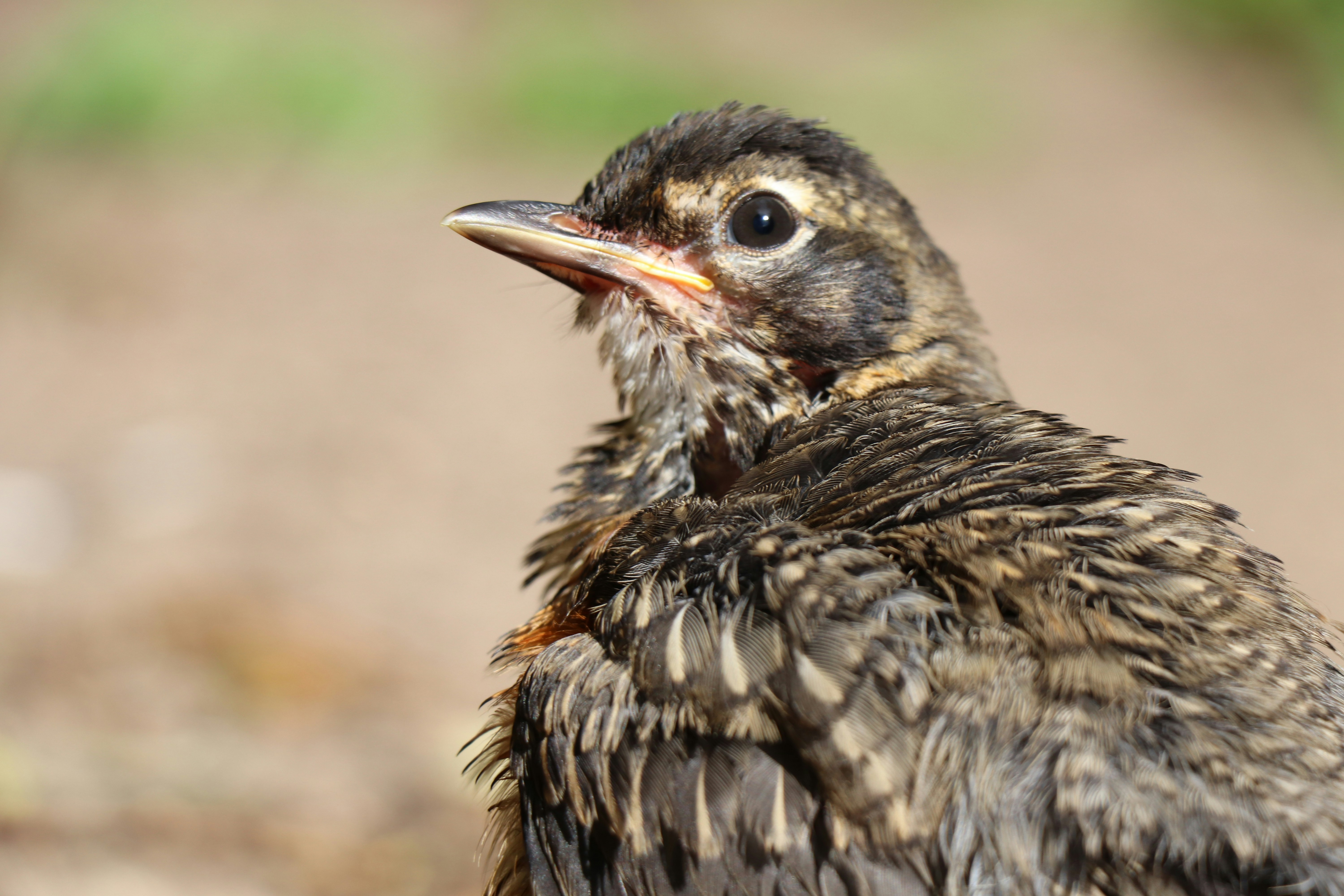 Photo by sandimagerart