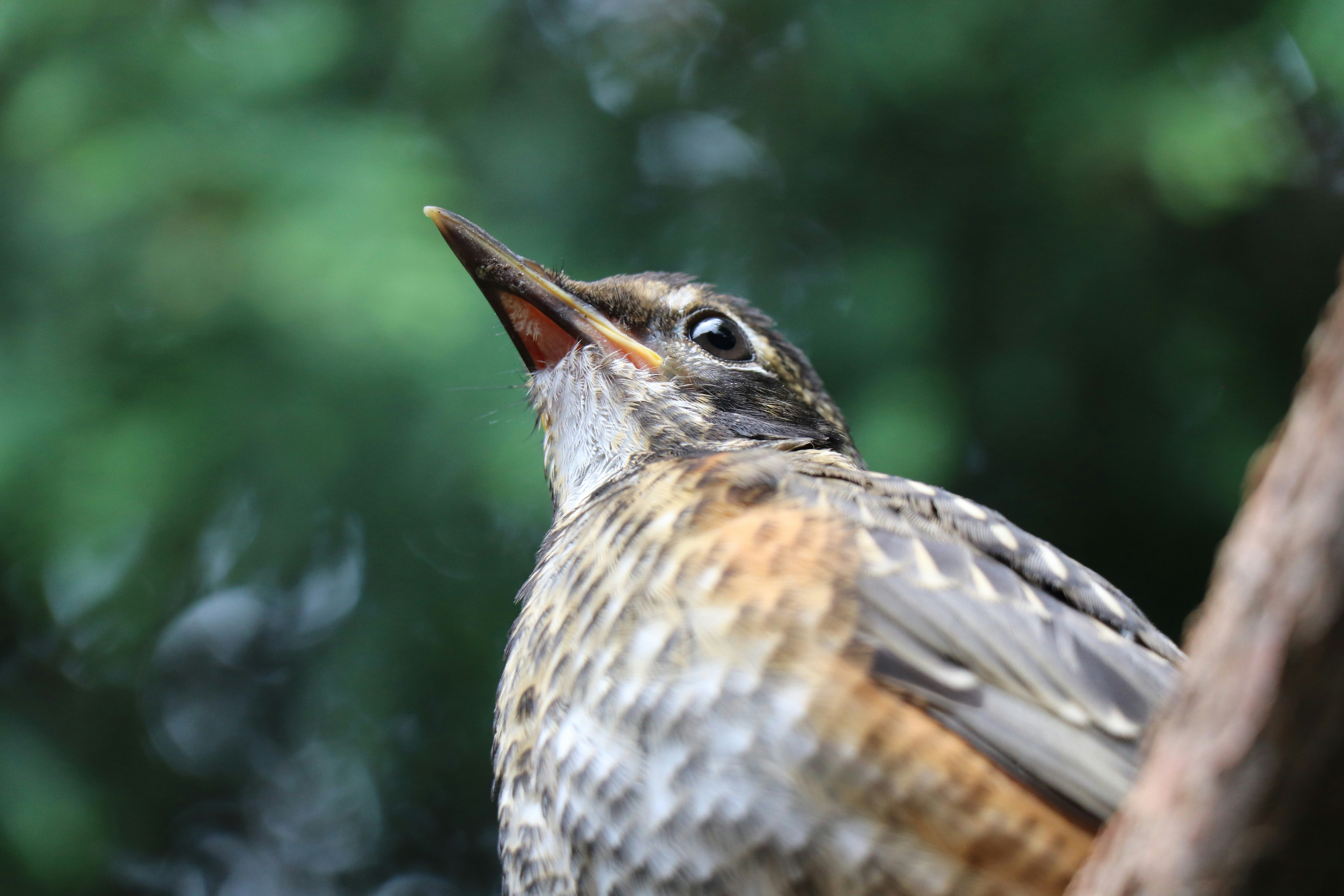 Photo by sandimagerart