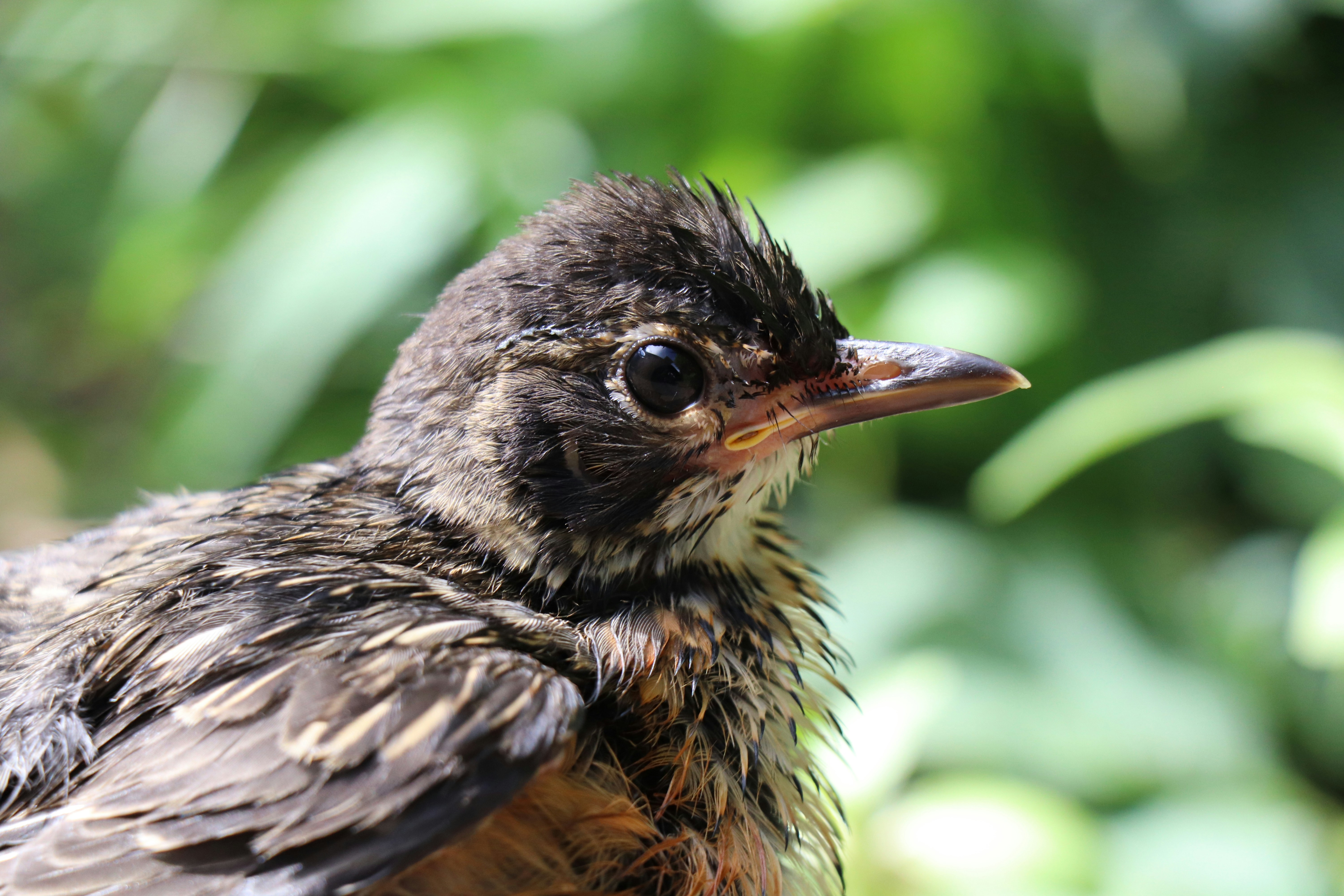 Photo by sandimagerart