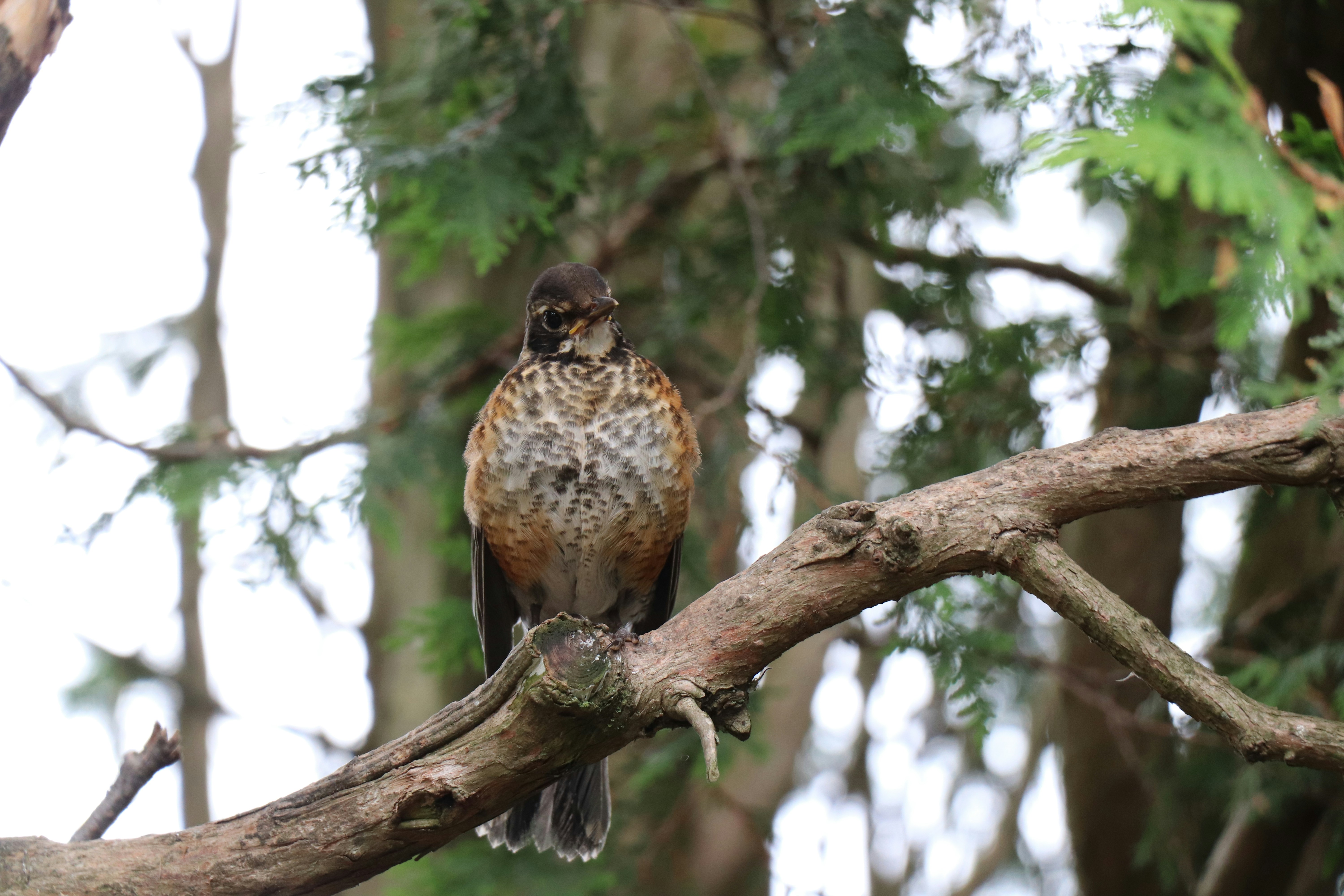 Photo by sandimagerart