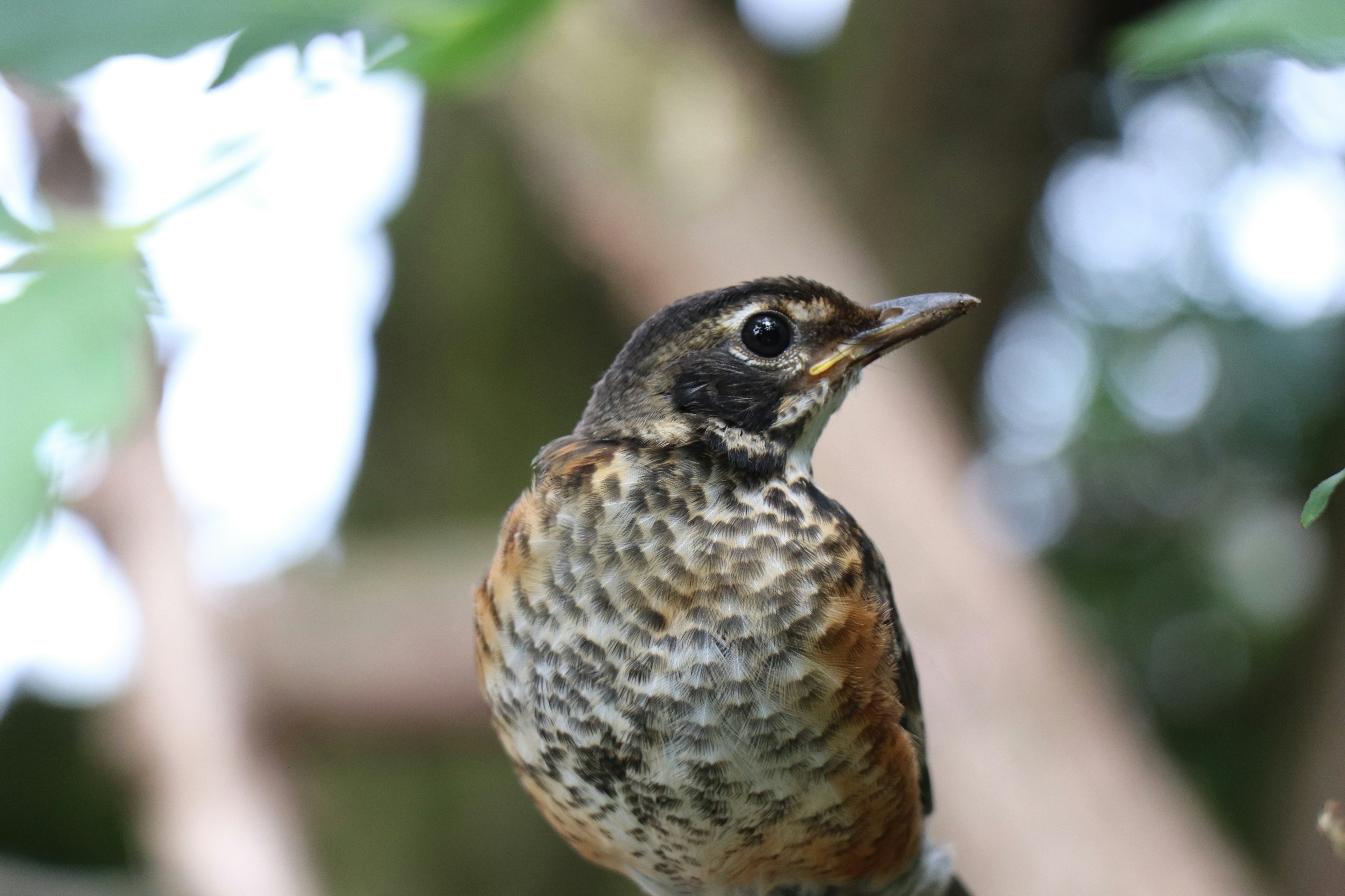 Photo by sandimagerart