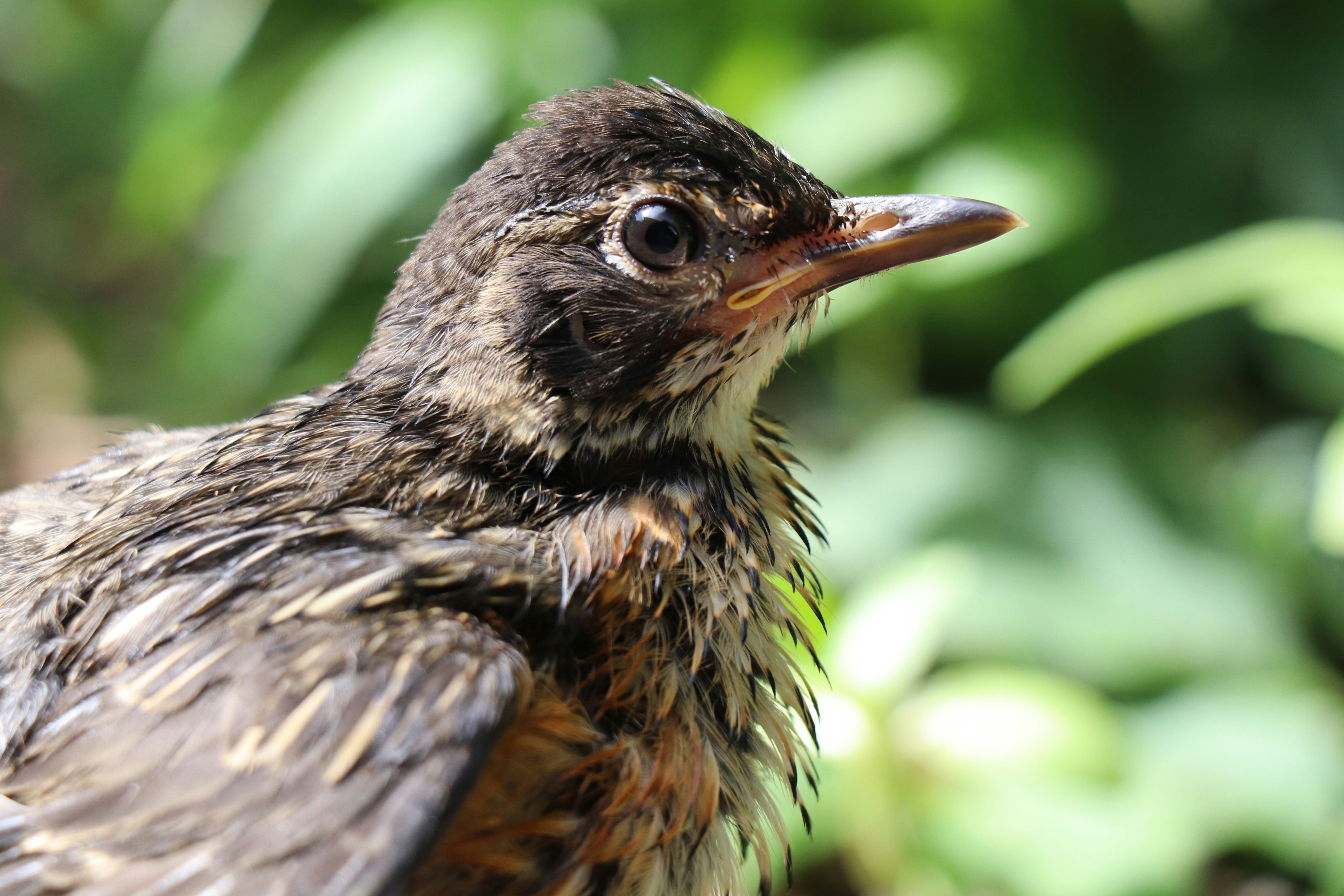 Photo by sandimagerart