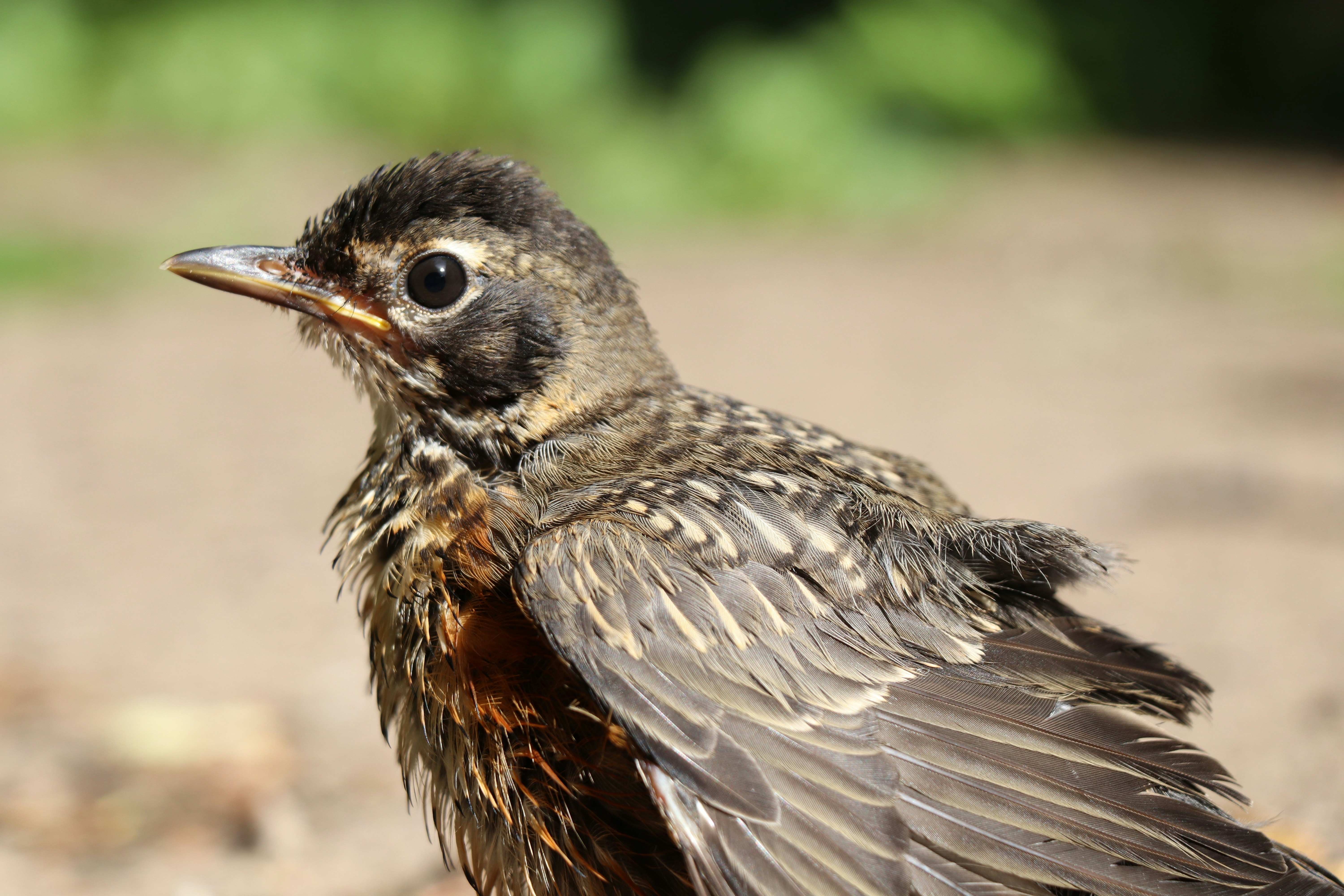 Photo by sandimagerart