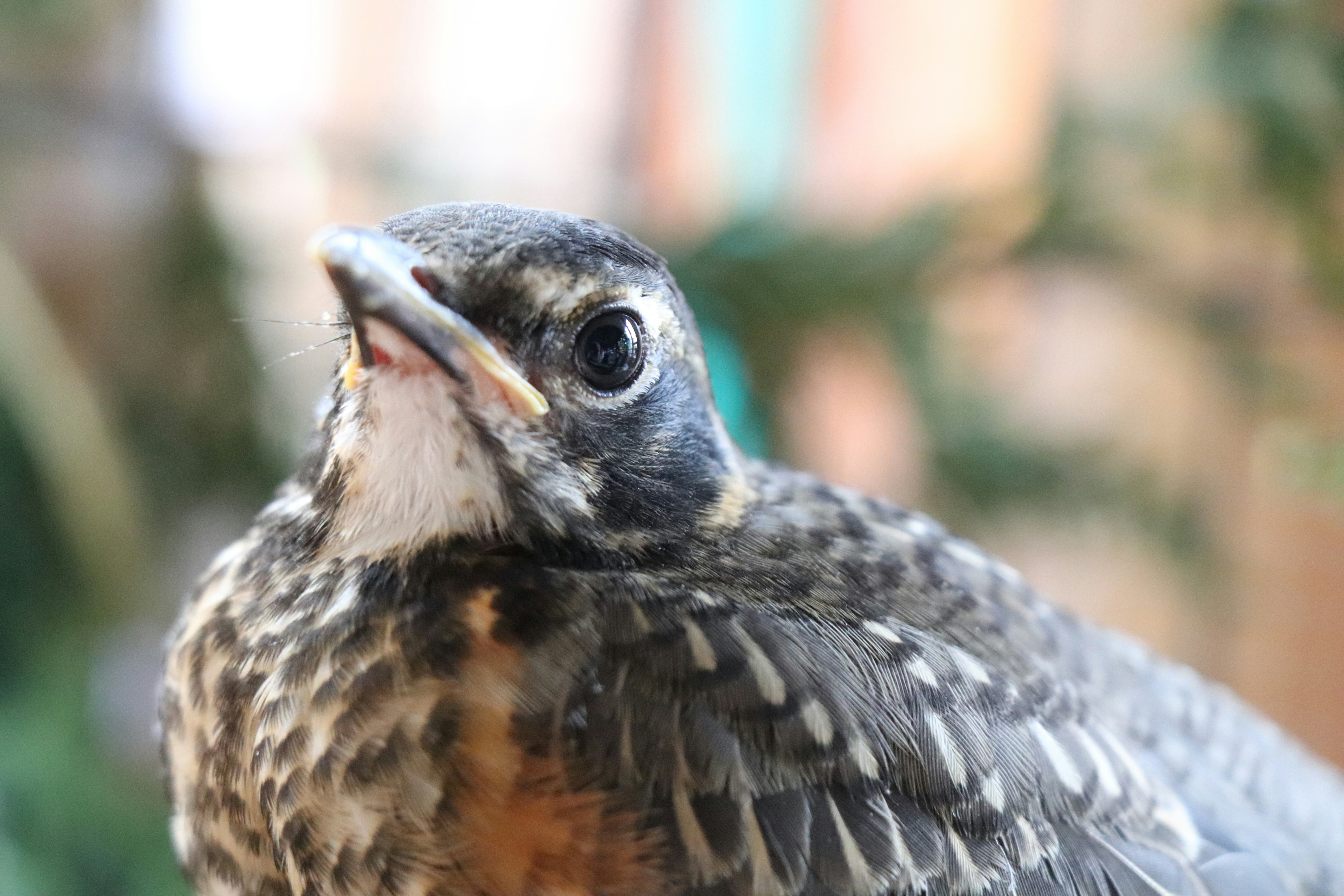 Photo by sandimagerart