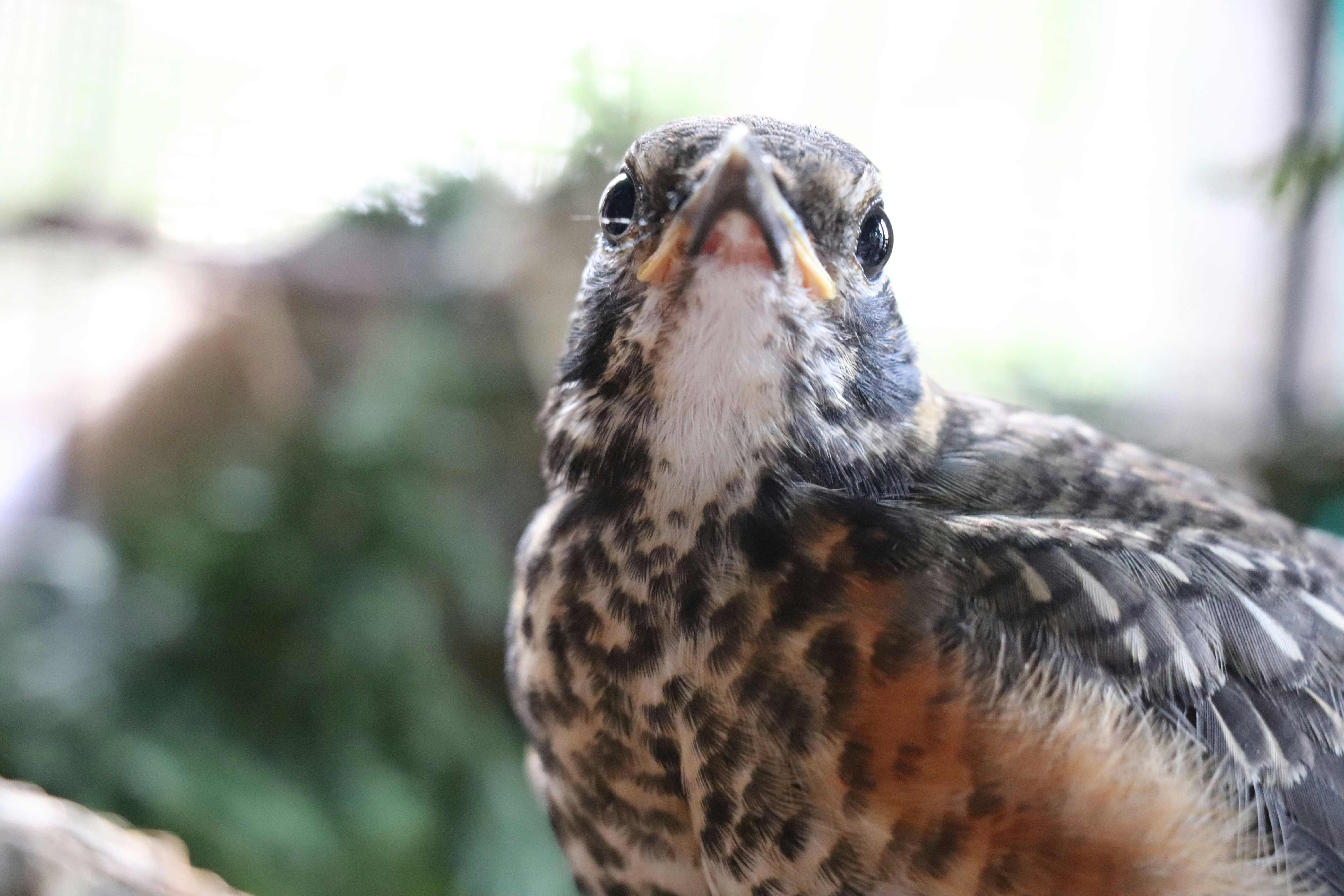 Photo by sandimagerart