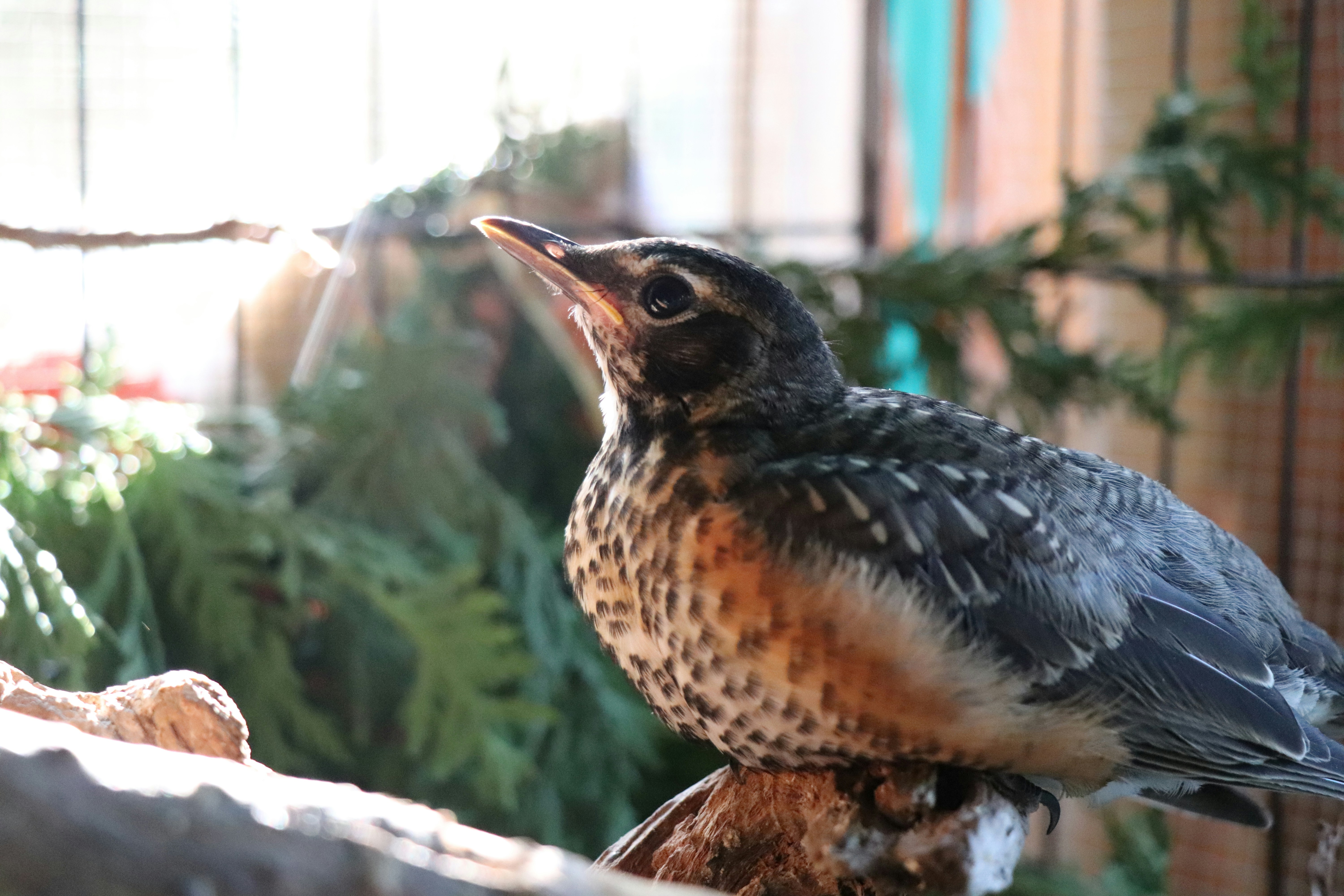 Photo by sandimagerart