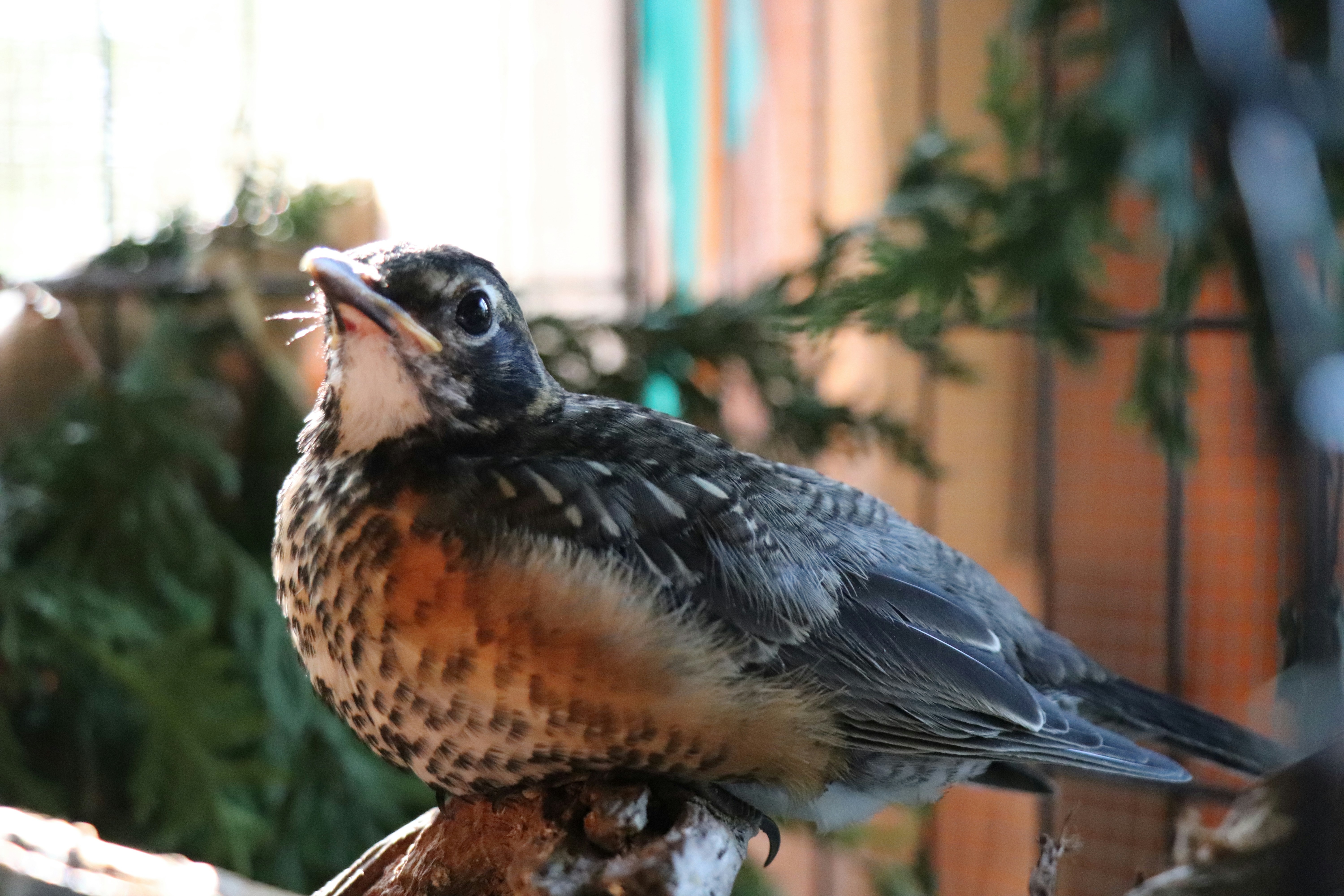 Photo by sandimagerart