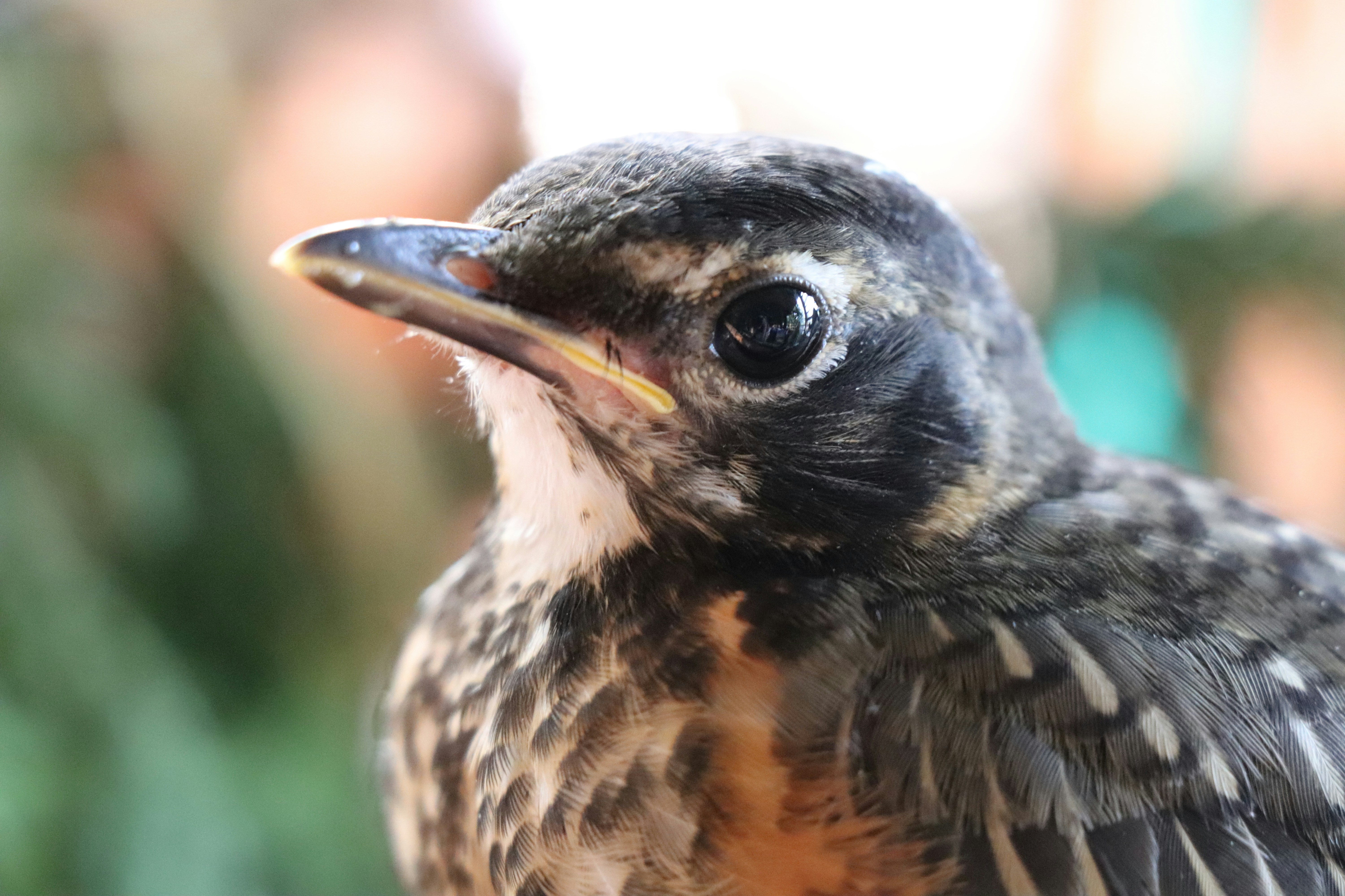 Photo by sandimagerart