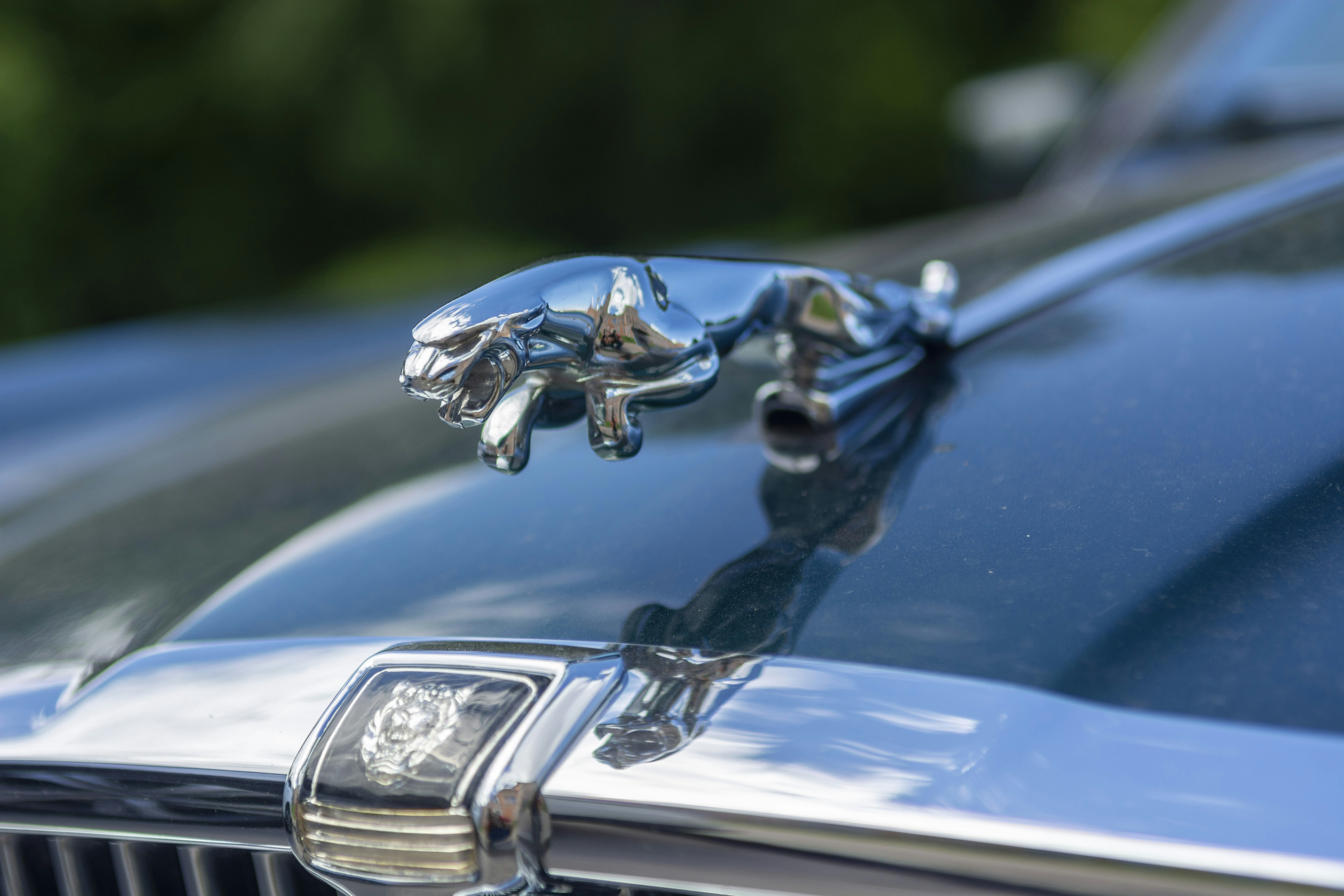 A close up of the hood ornament on a classic car