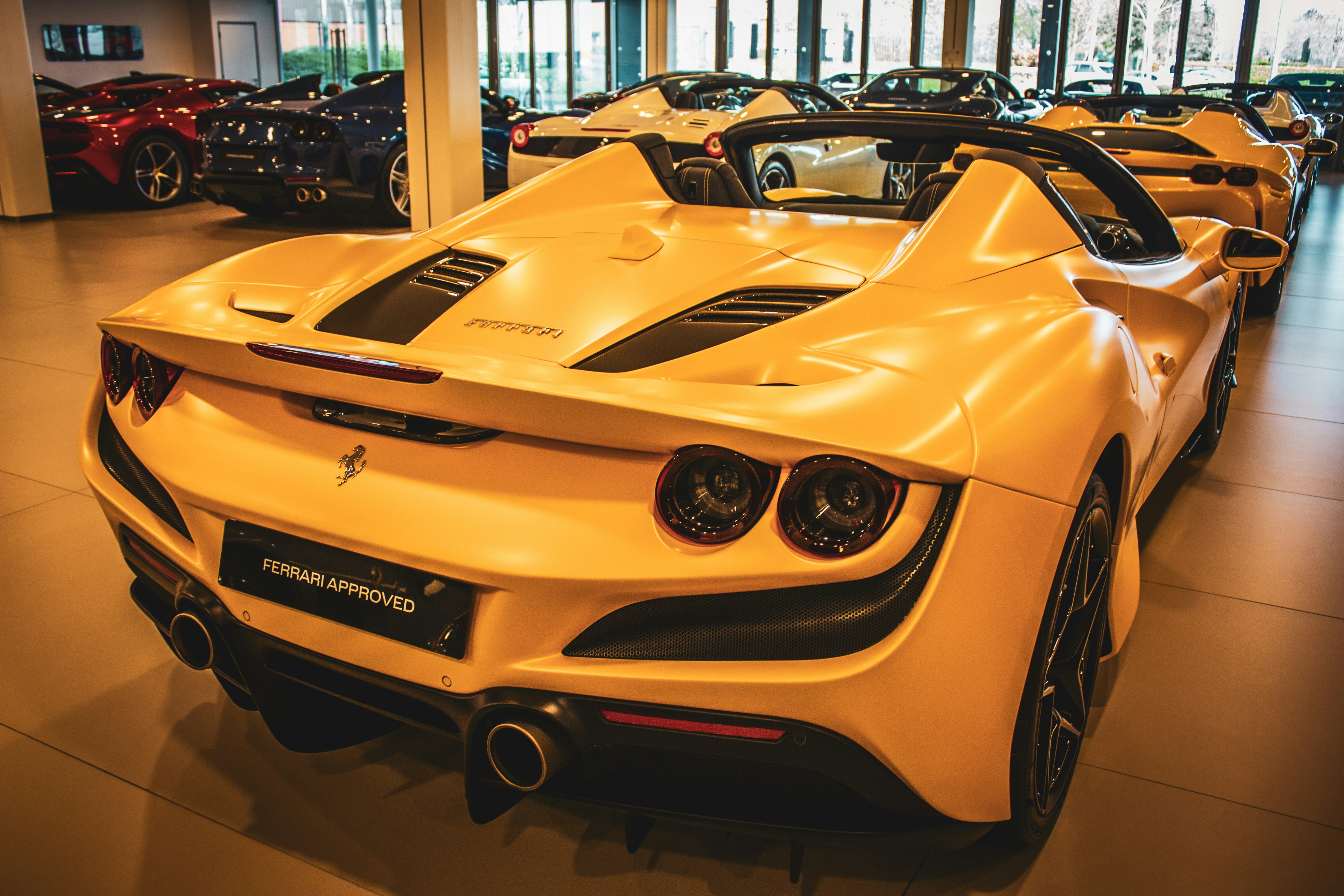 Photo by linxphotography