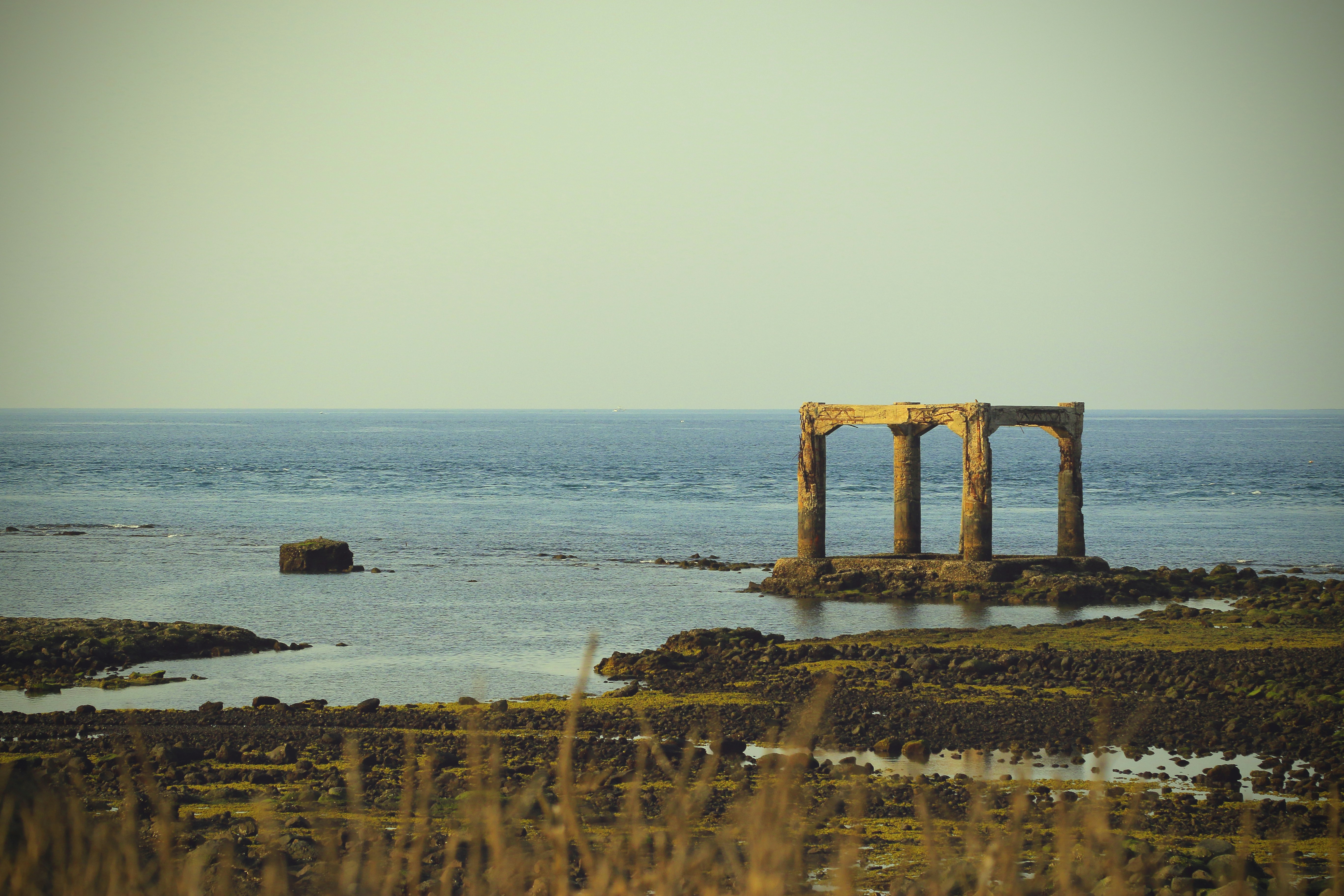 A large body of water surrounded by tall grass
