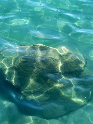 A rock in the middle of a body of water